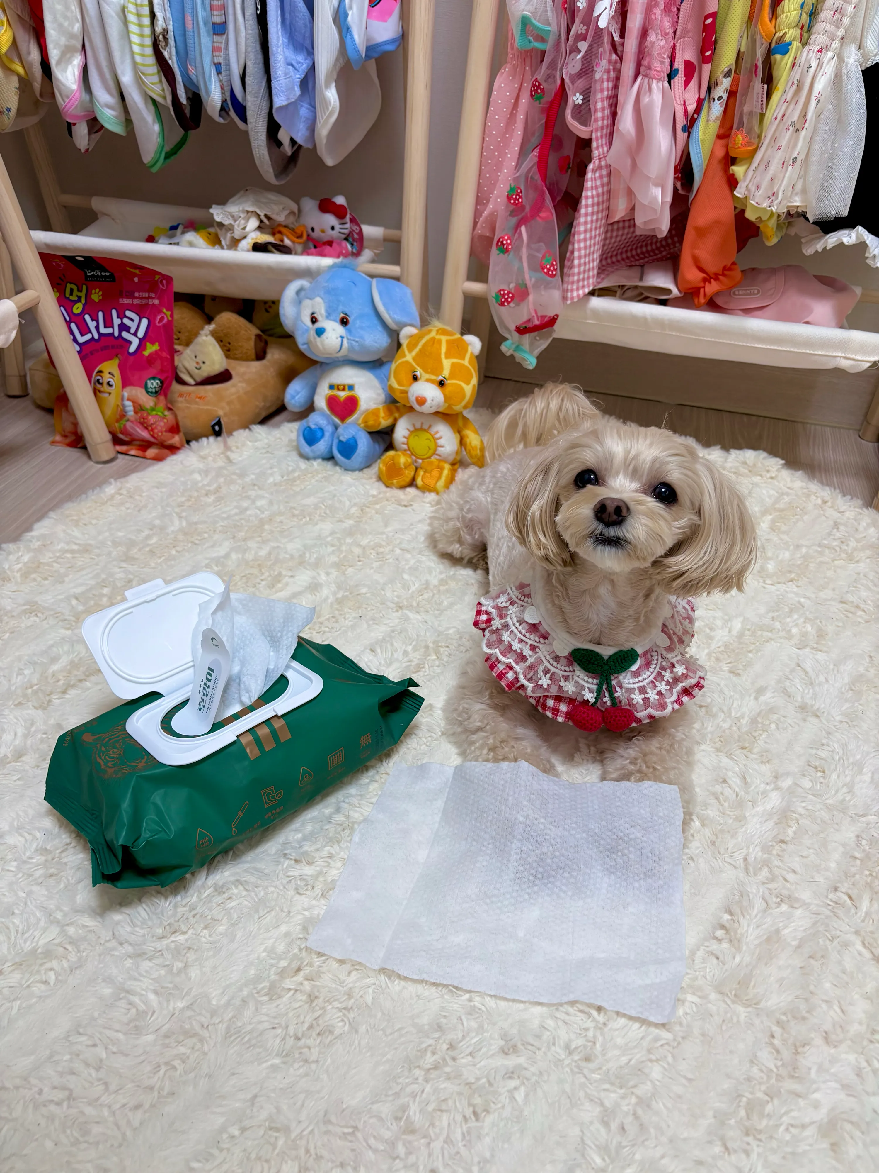 2번째 파일