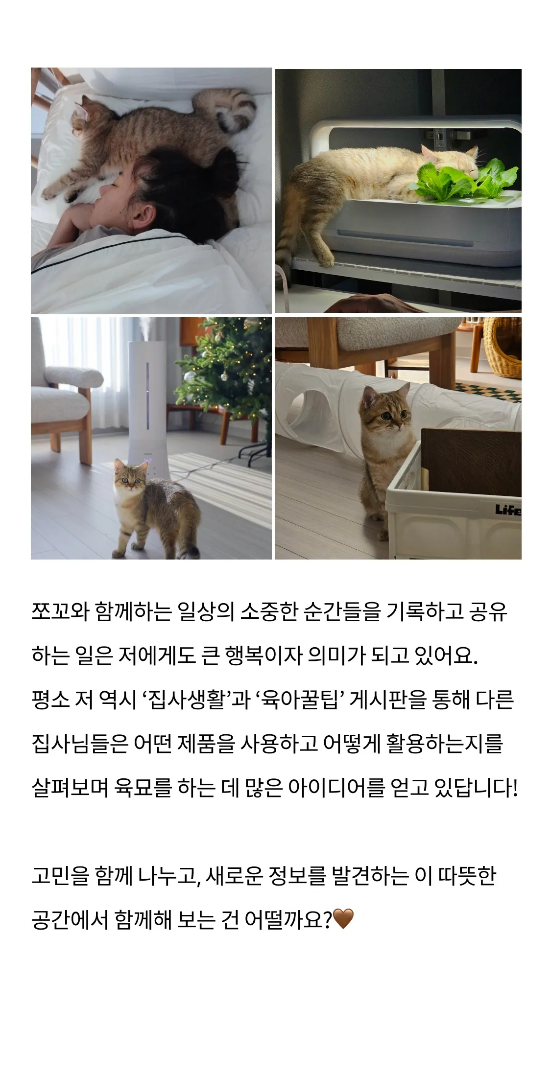 9번째 파일