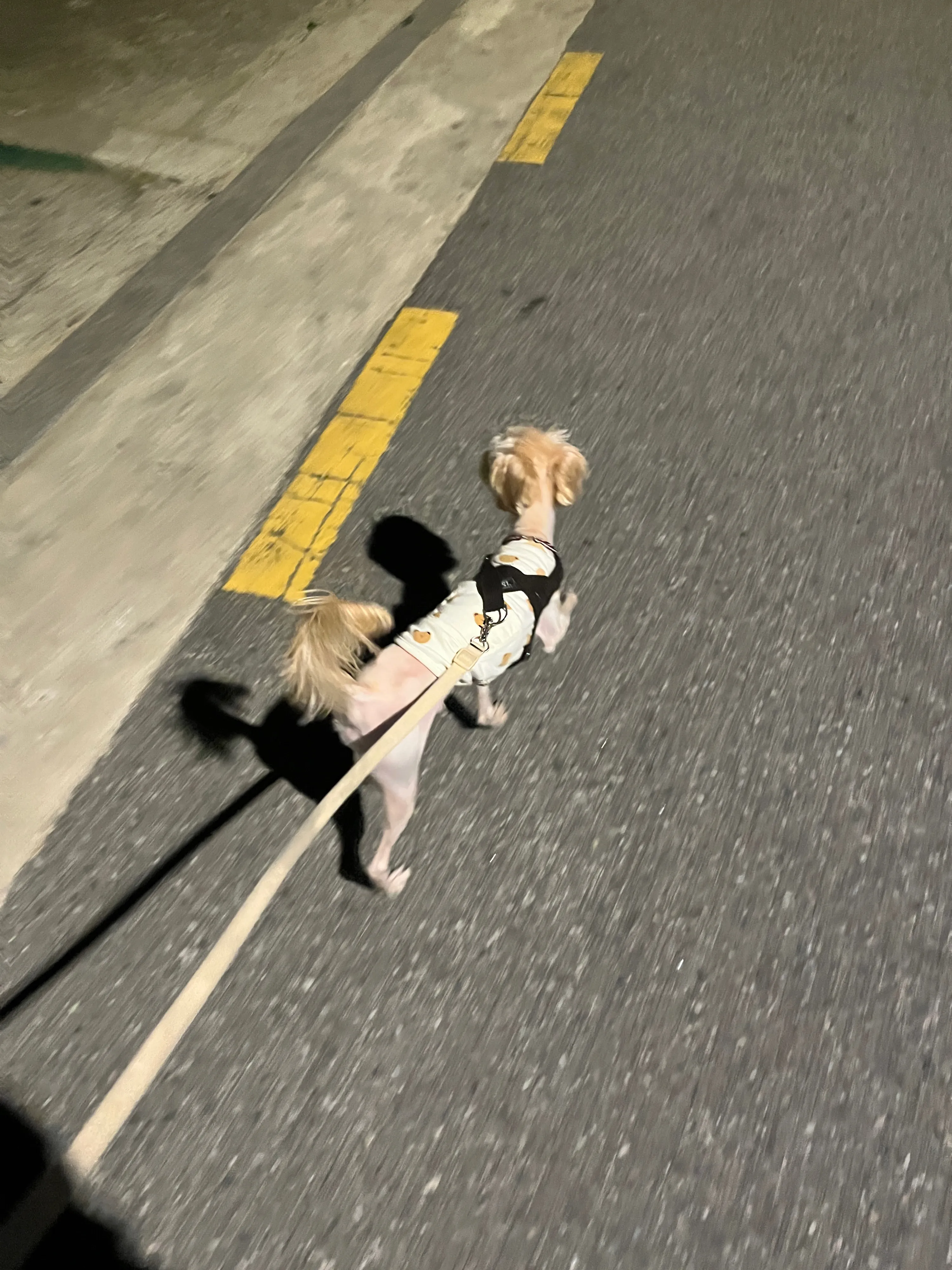 1번째 파일