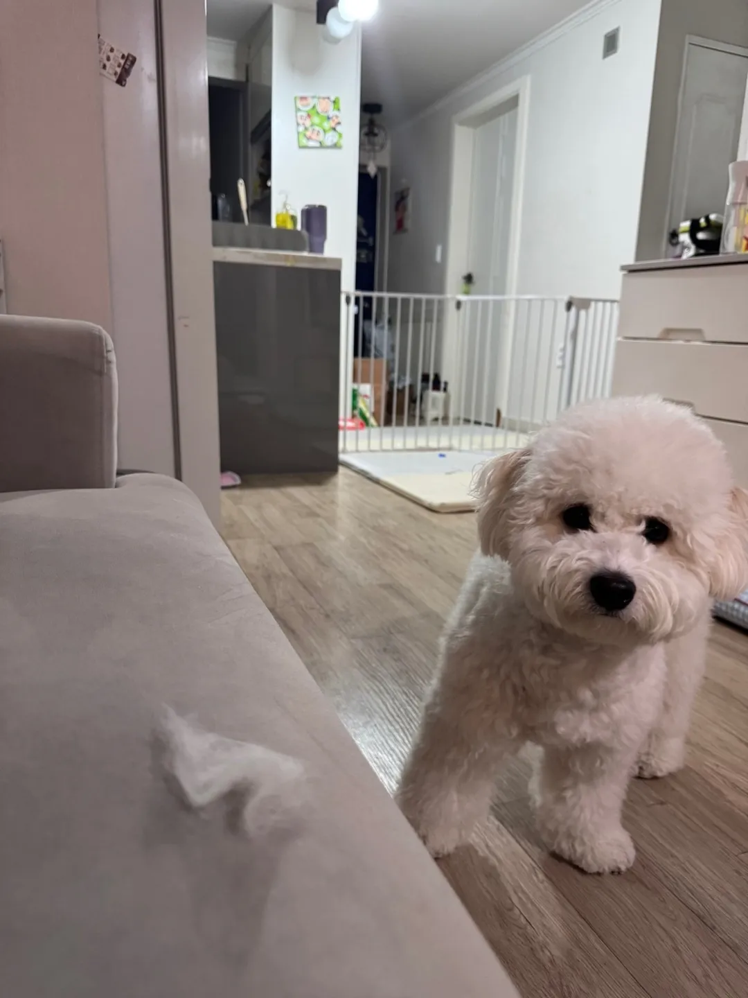 2번째 파일