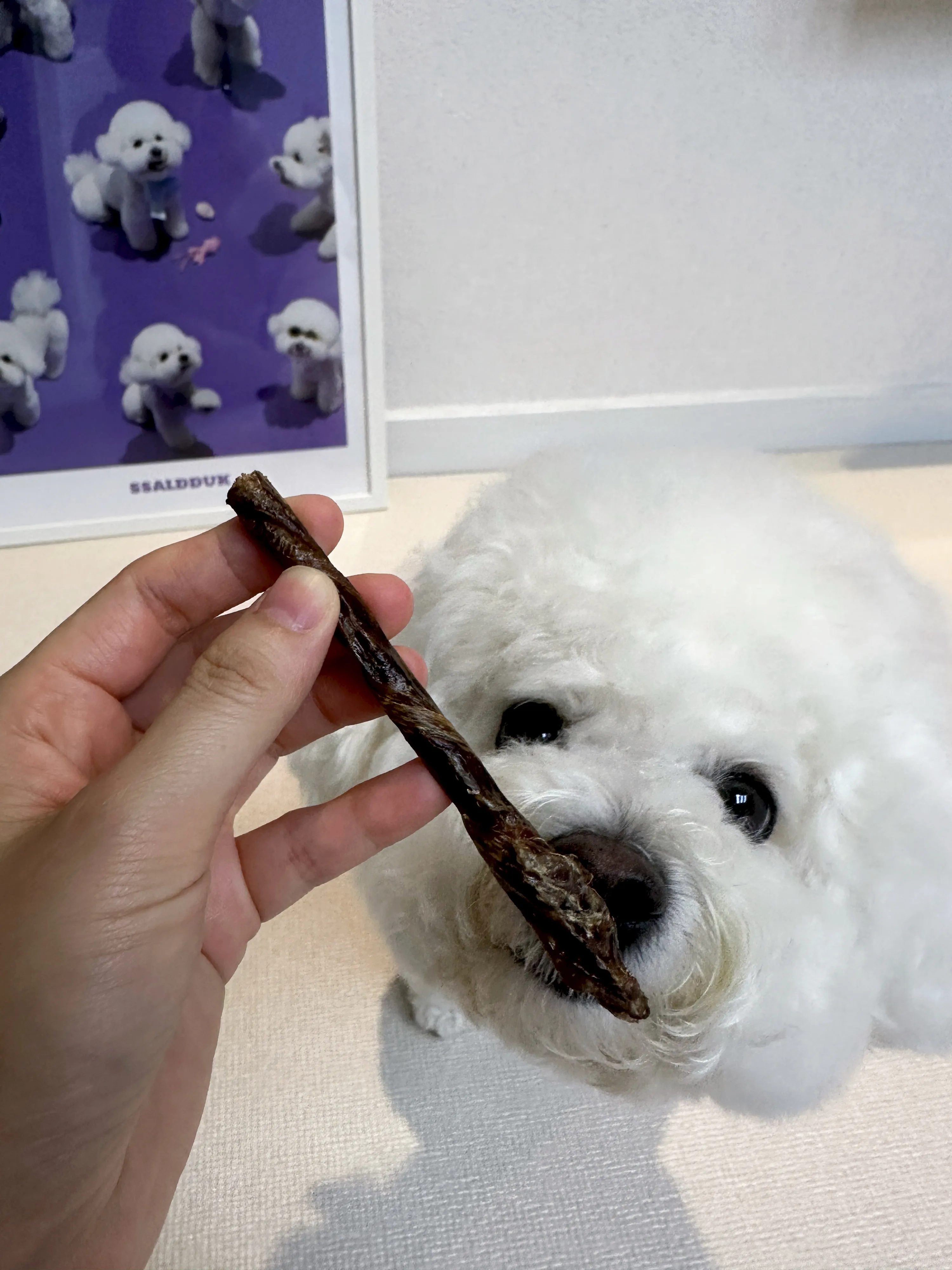2번째 파일