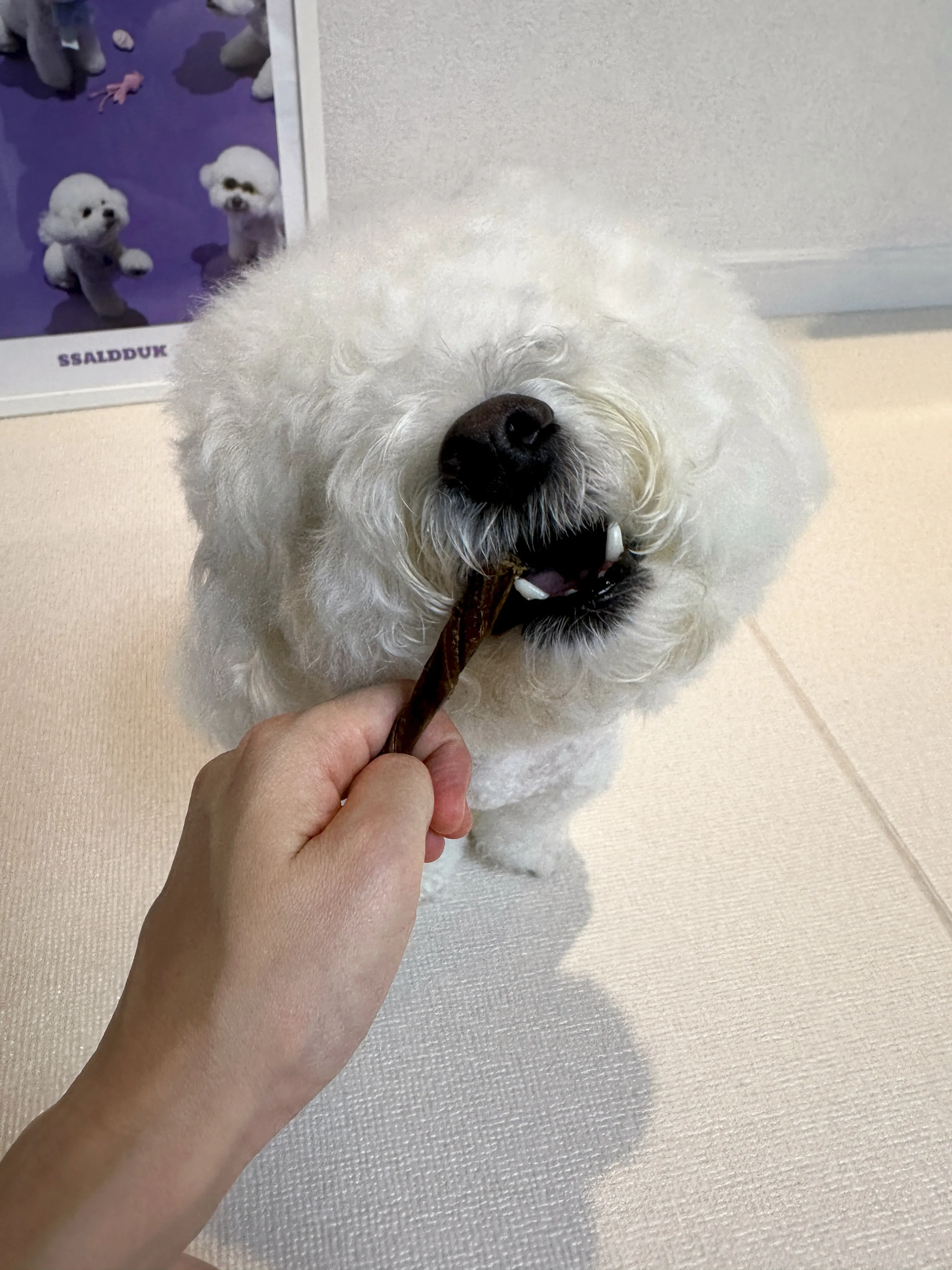 5번째 파일