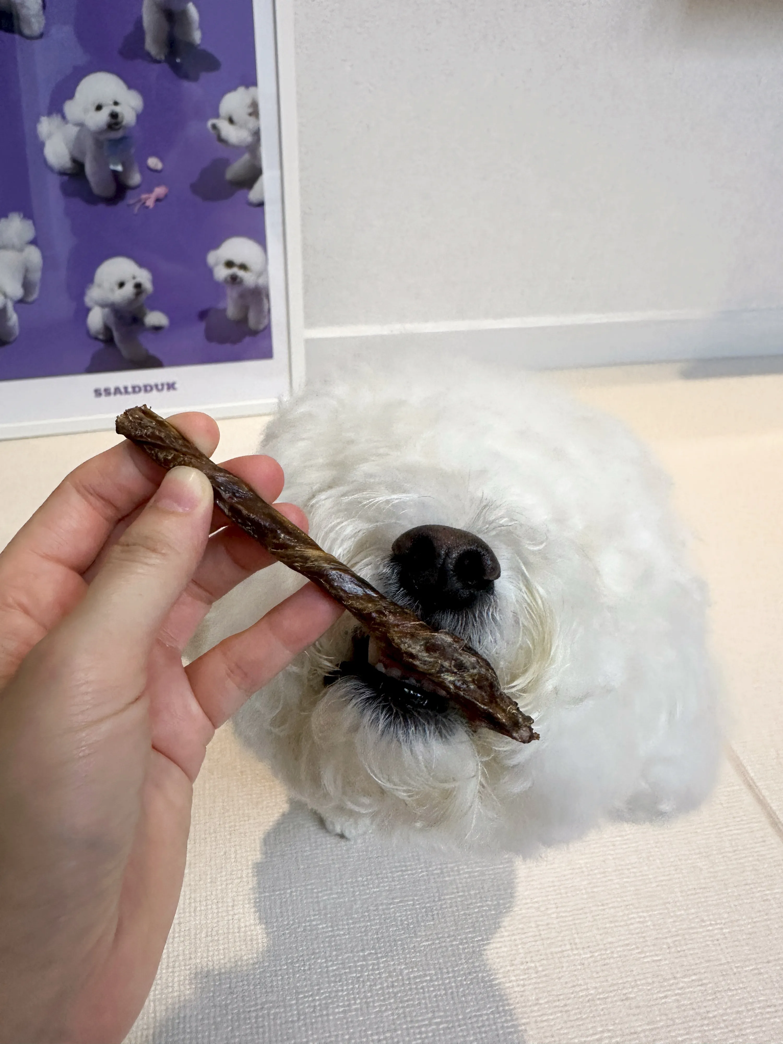 3번째 파일