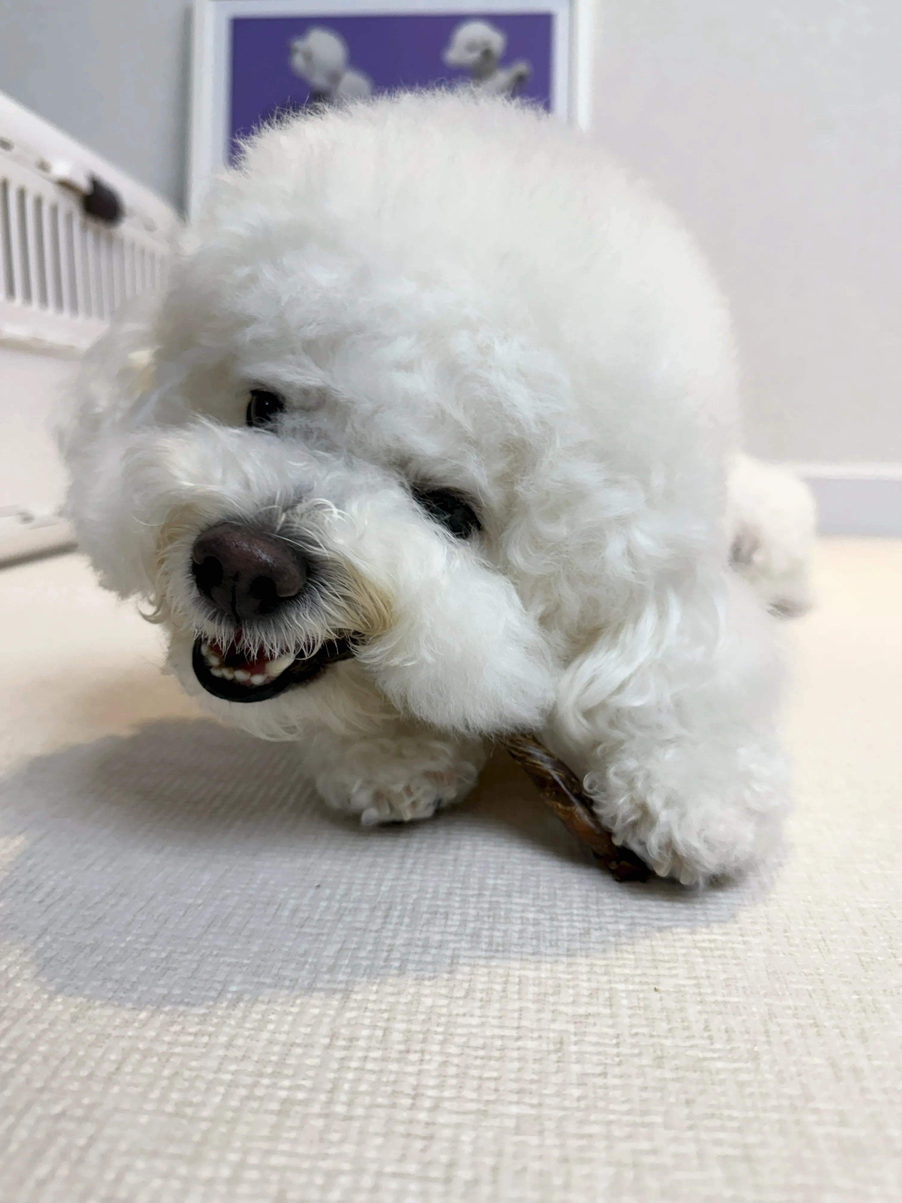 7번째 파일