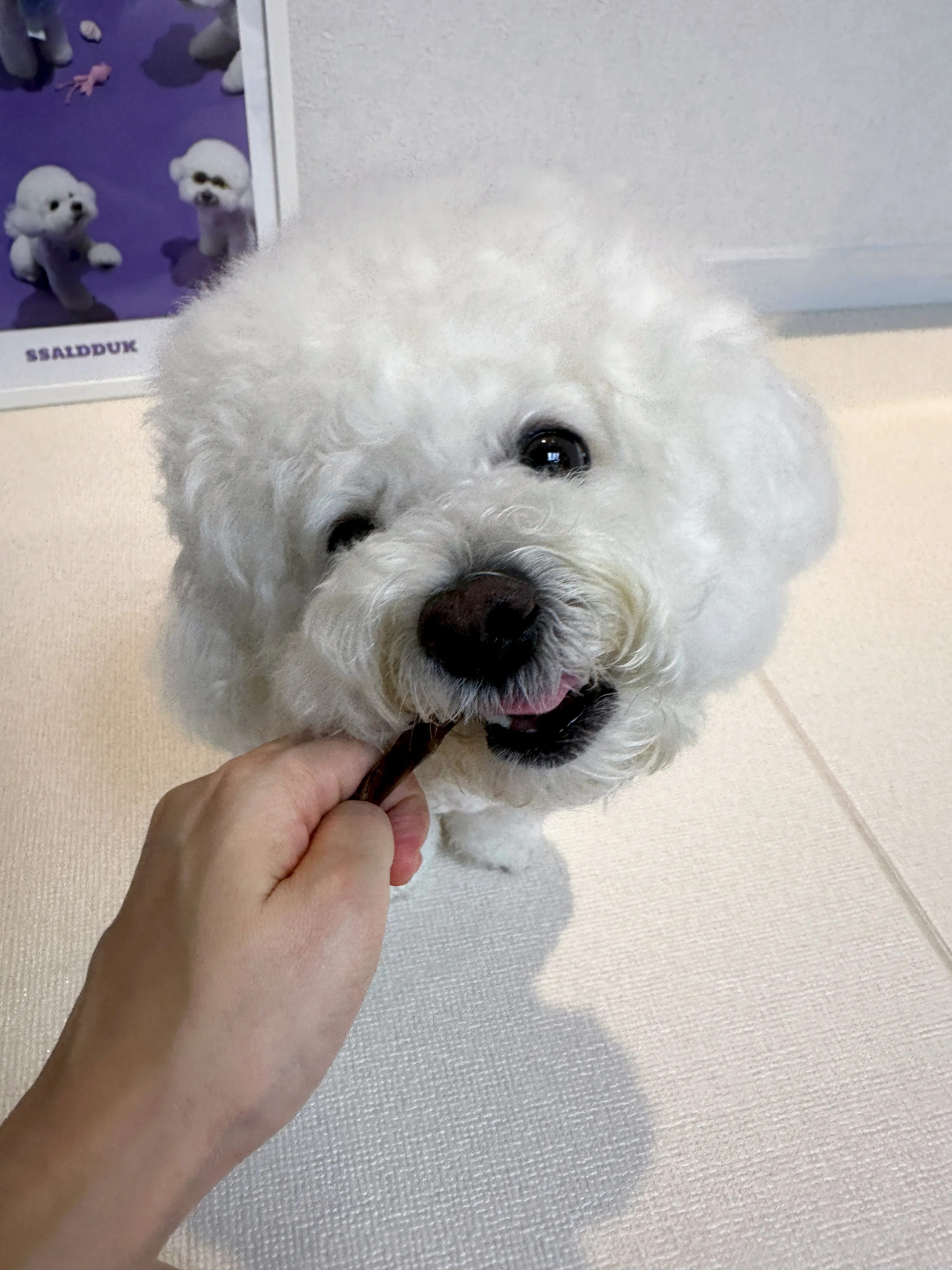 4번째 파일