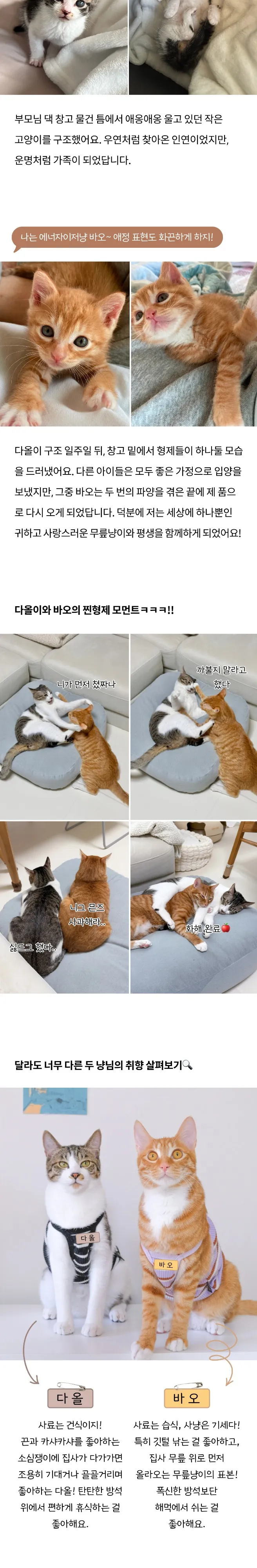 2번째 파일