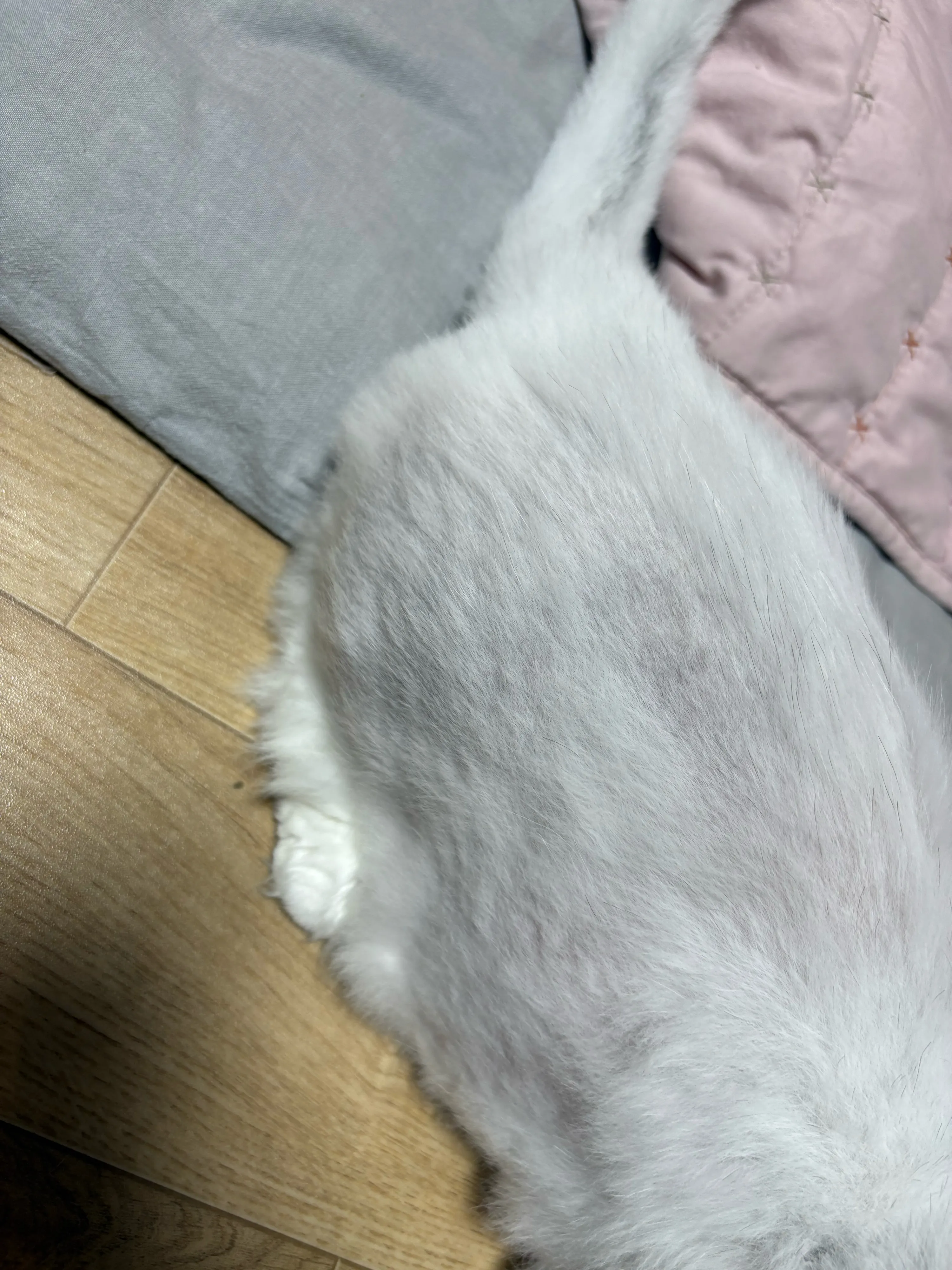 2번째 파일