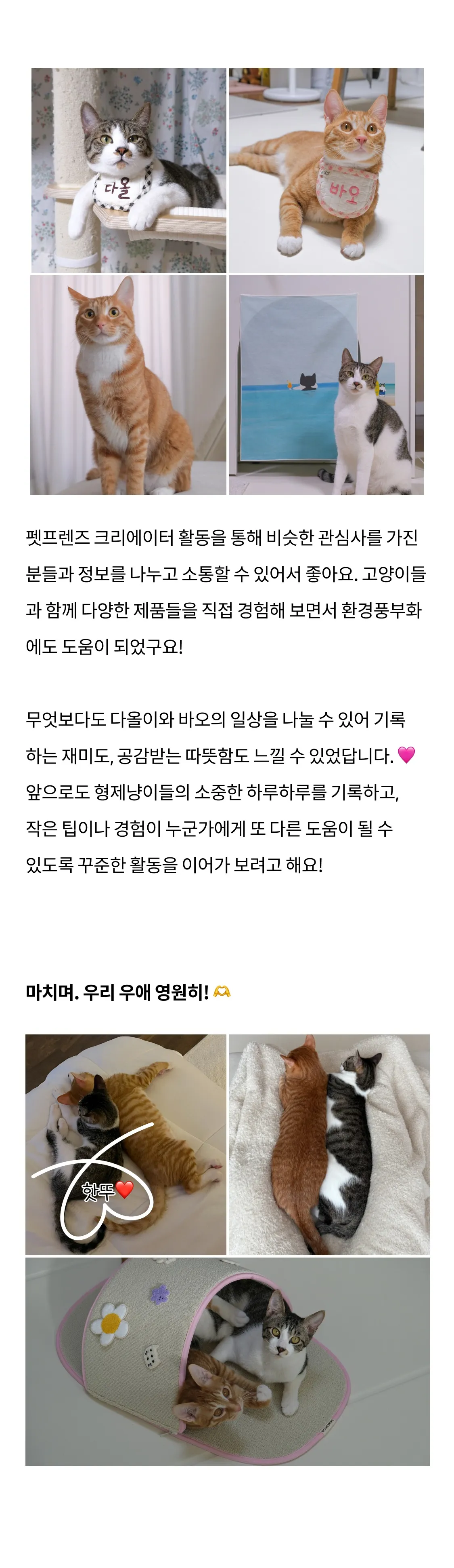 7번째 파일
