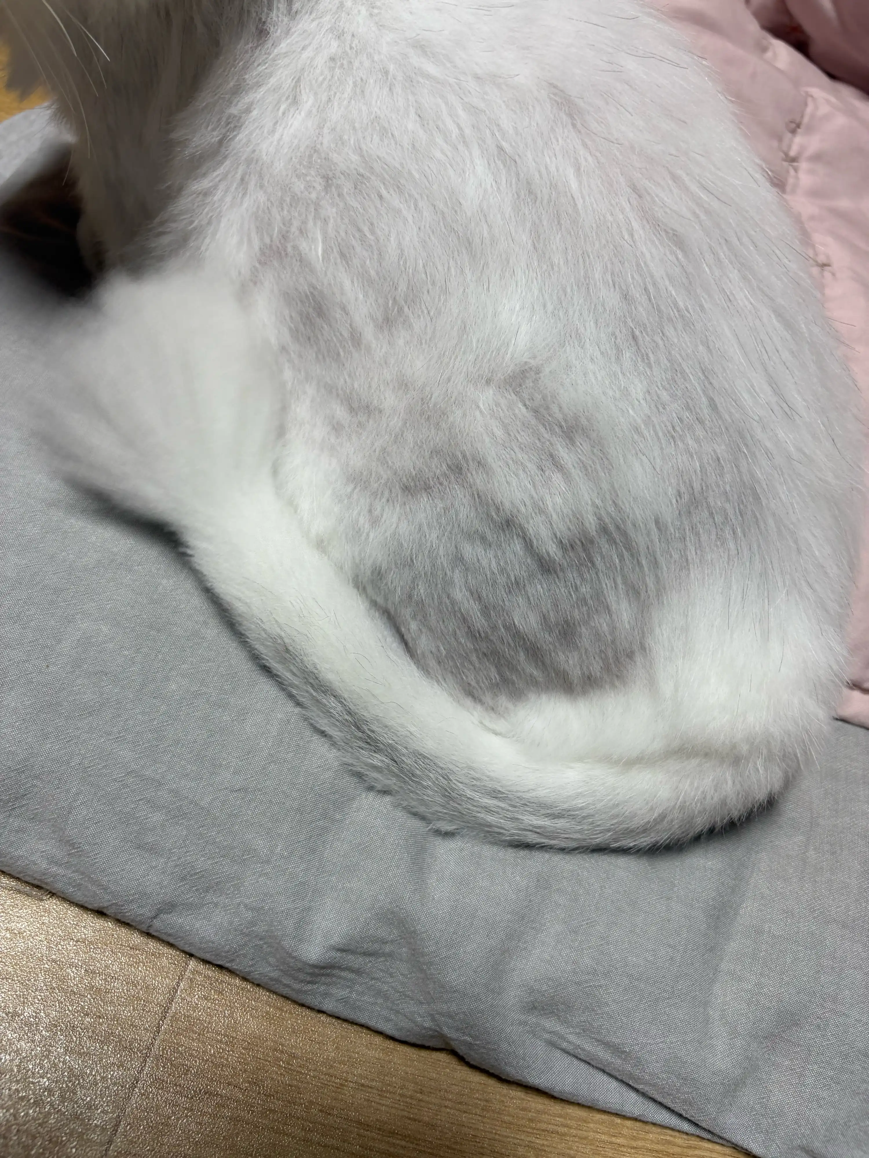 1번째 파일
