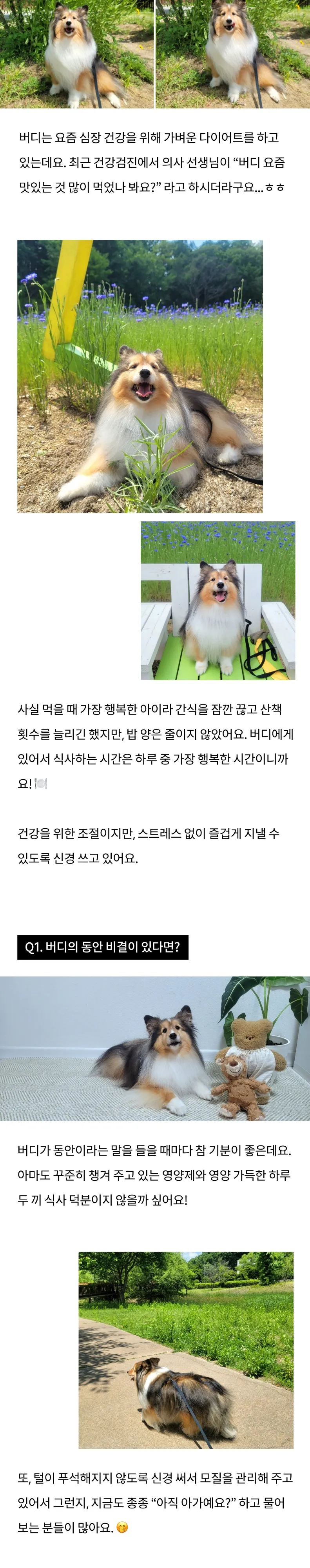 2번째 파일