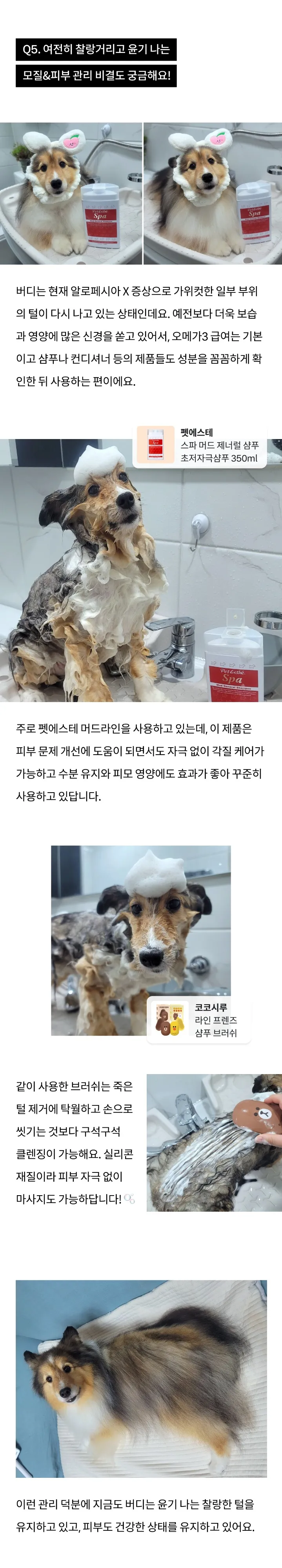 8번째 파일