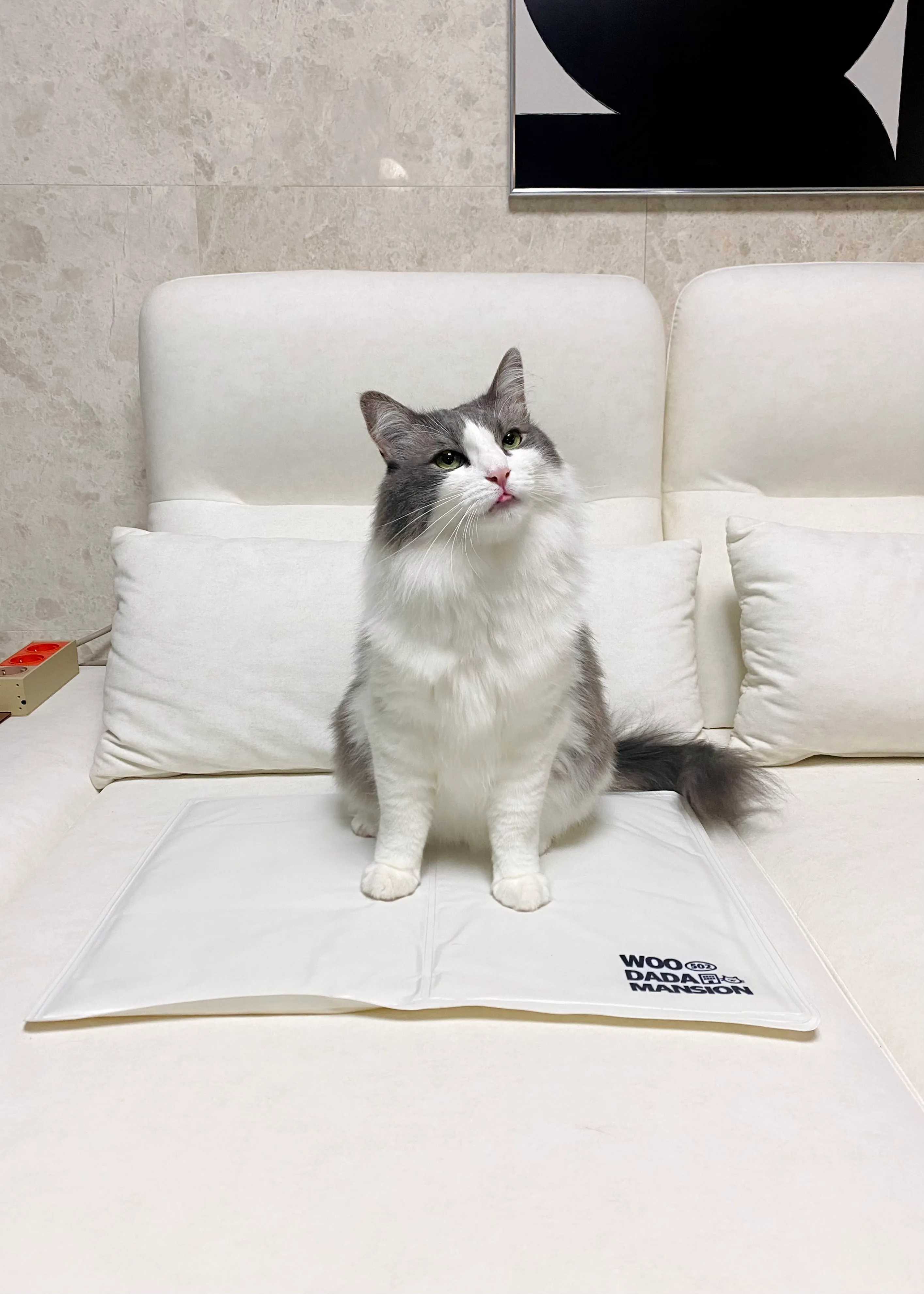 3번째 파일