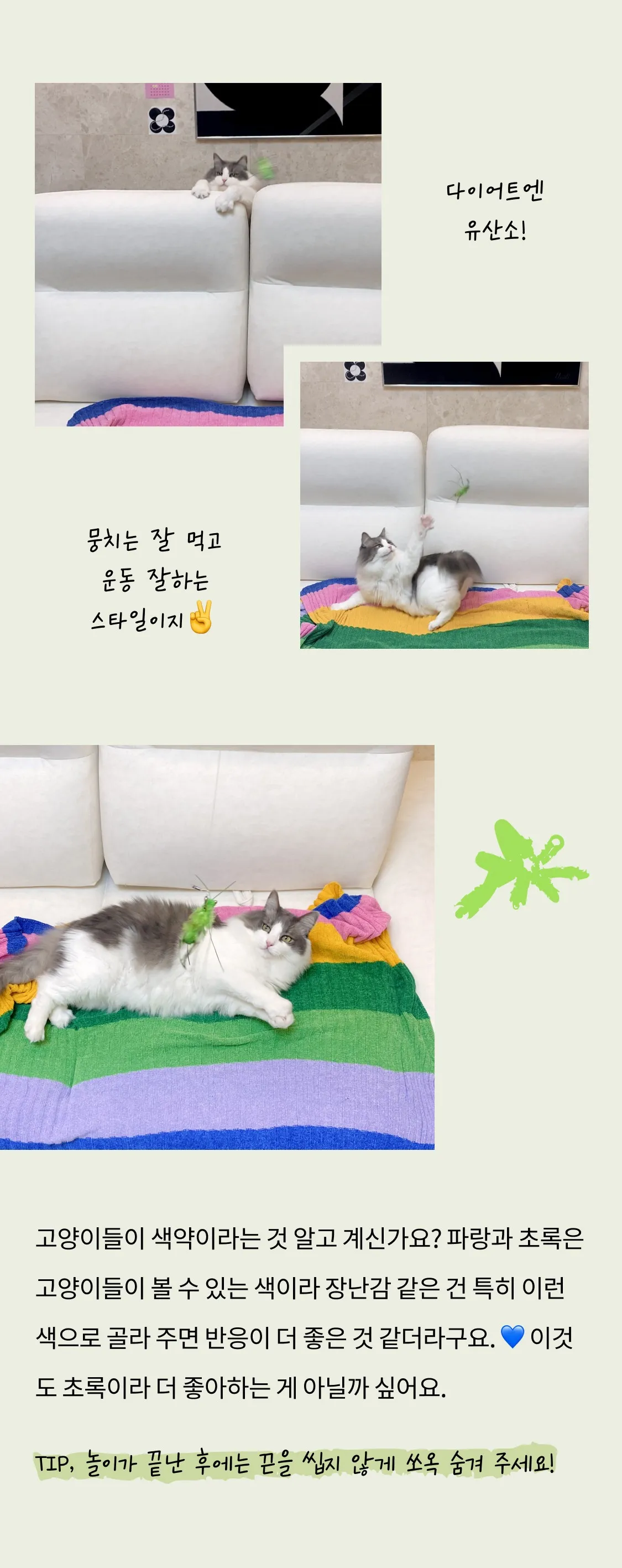 4번째 파일