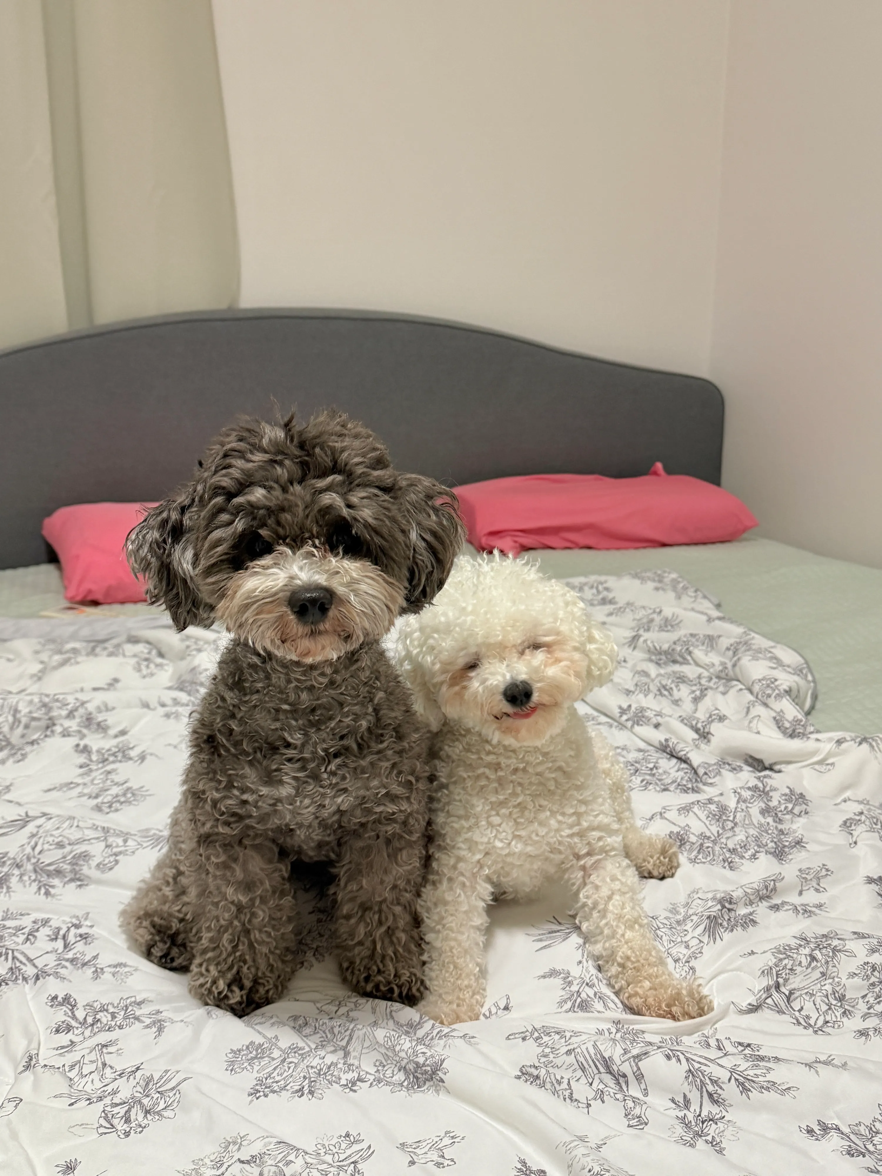 2번째 파일