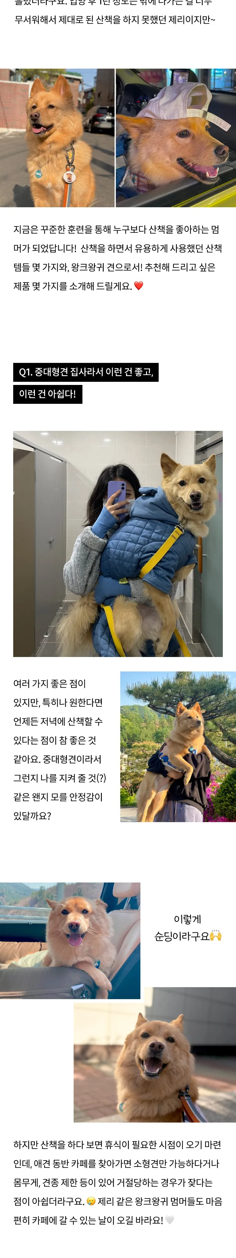 2번째 파일