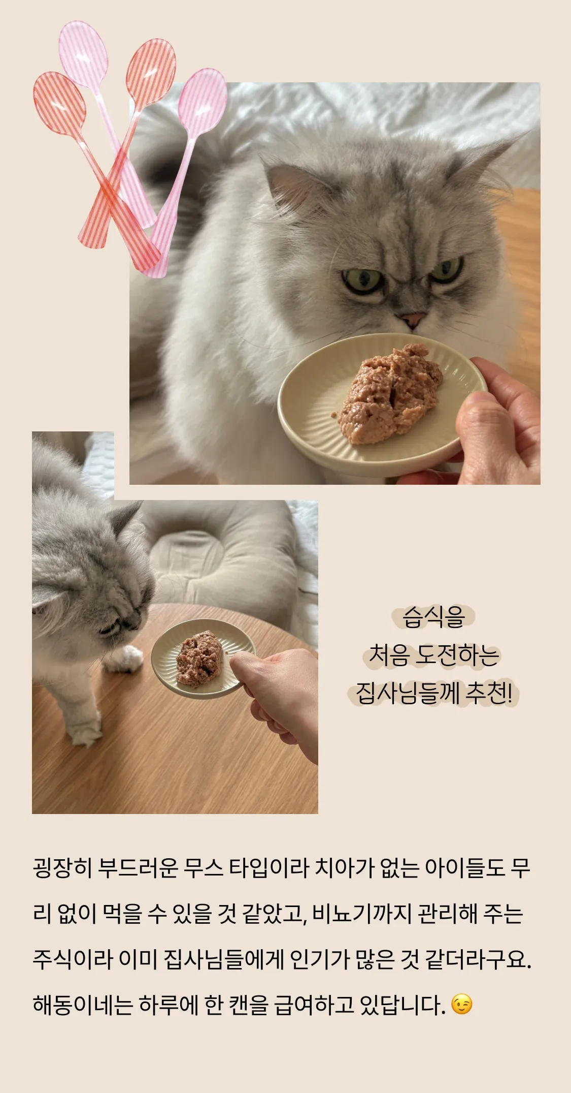 7번째 파일