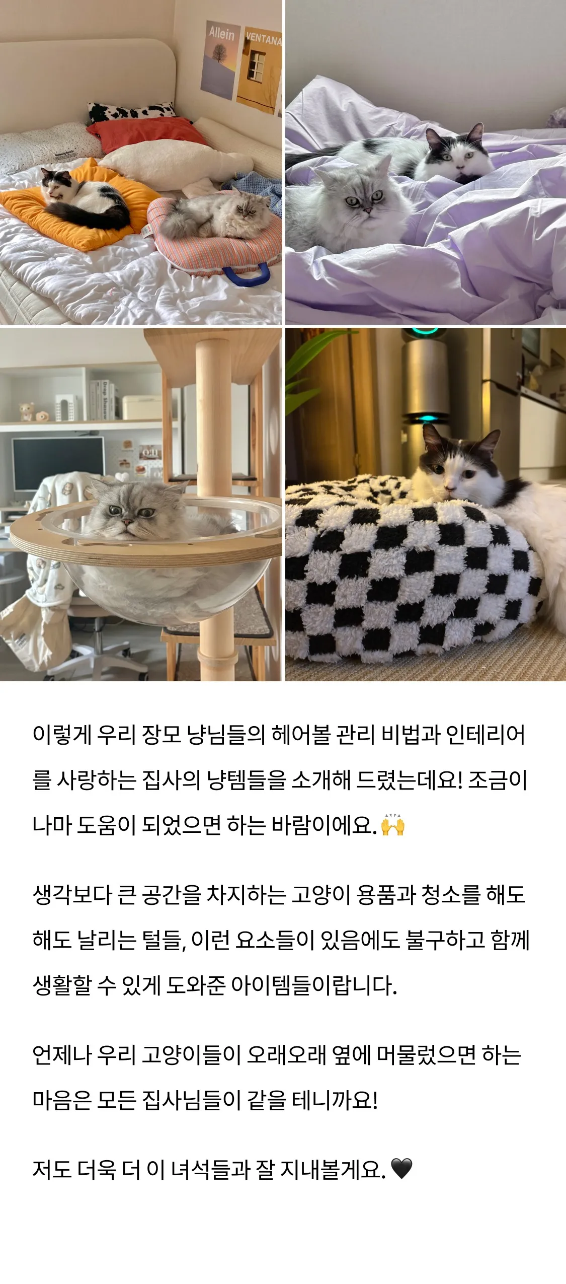 9번째 파일