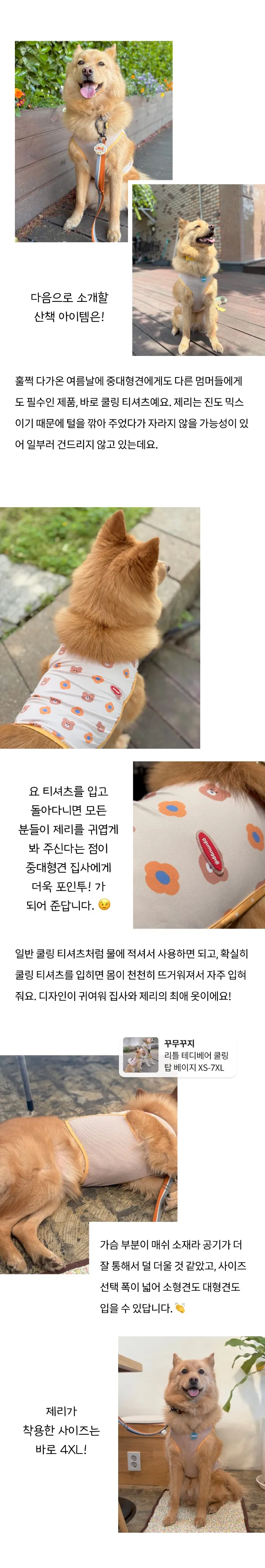 5번째 파일
