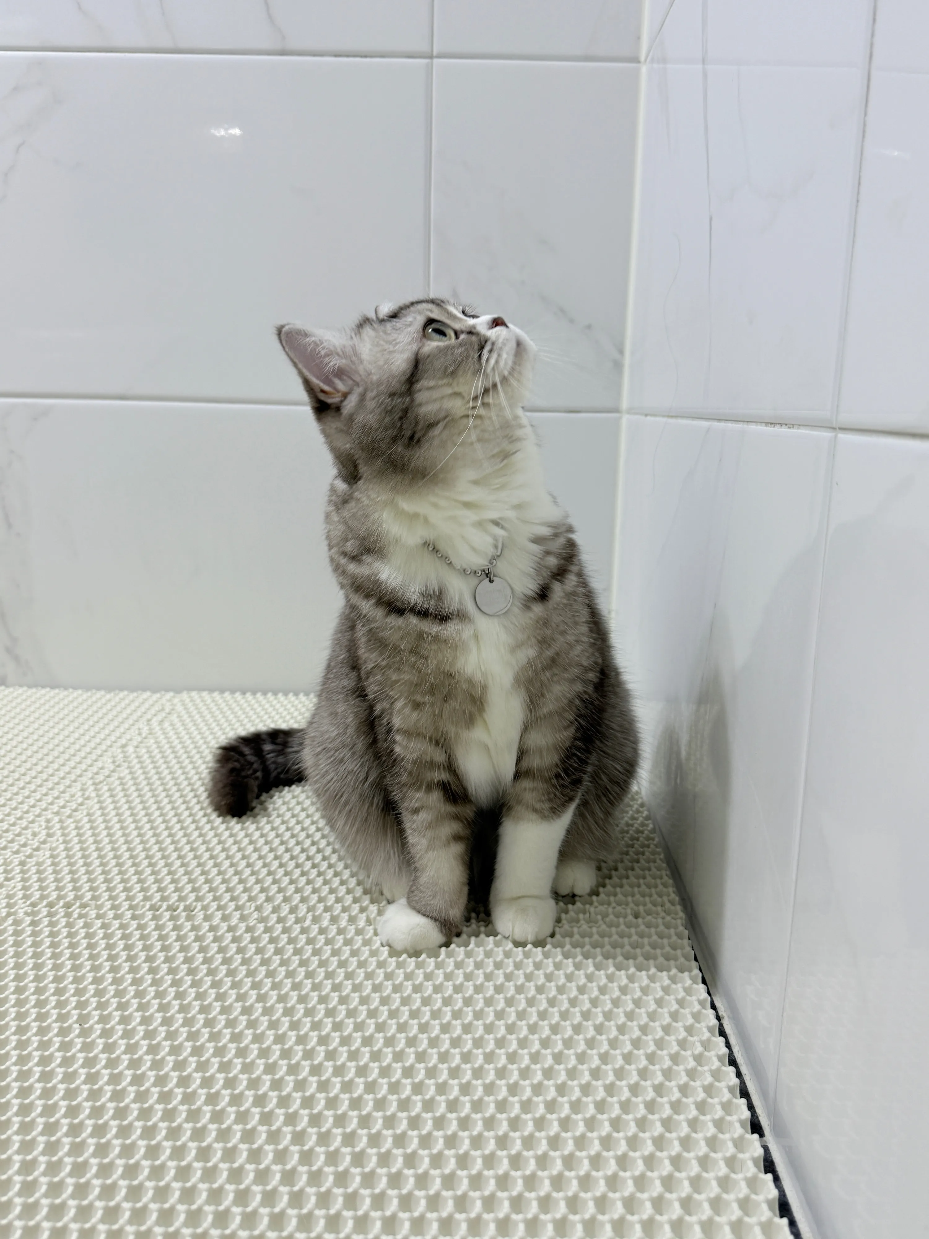 4번째 파일