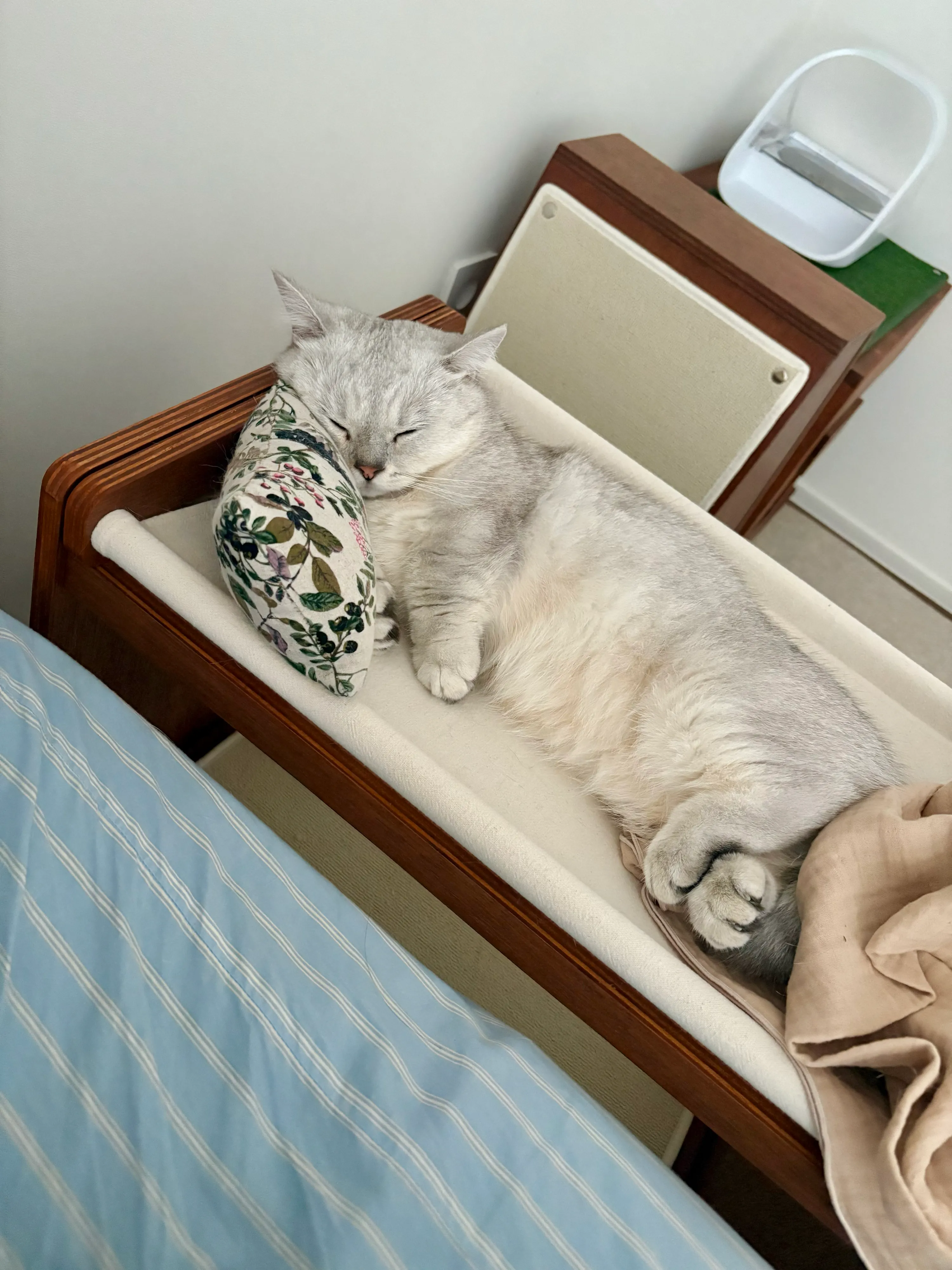 3번째 파일
