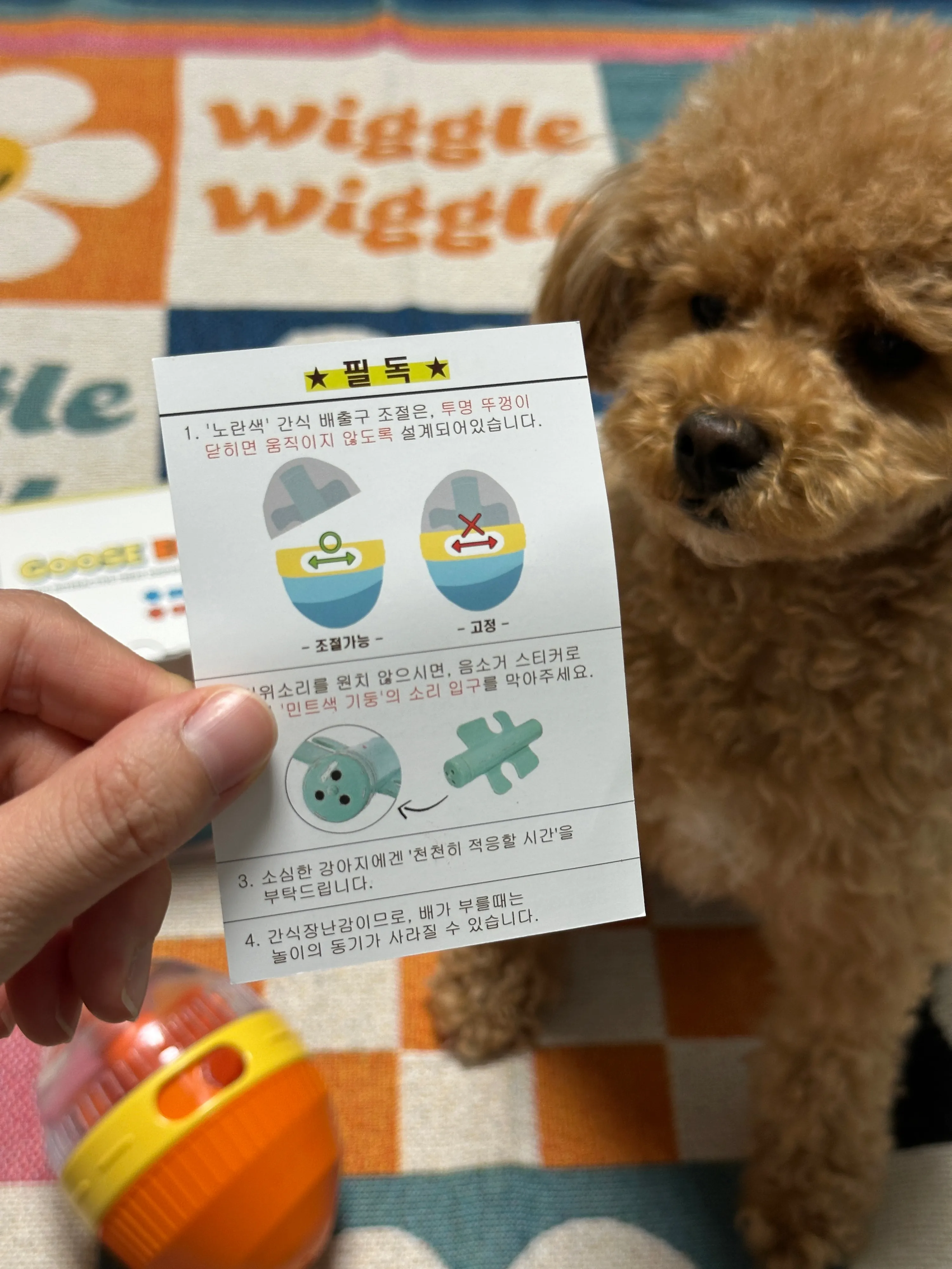 2번째 파일