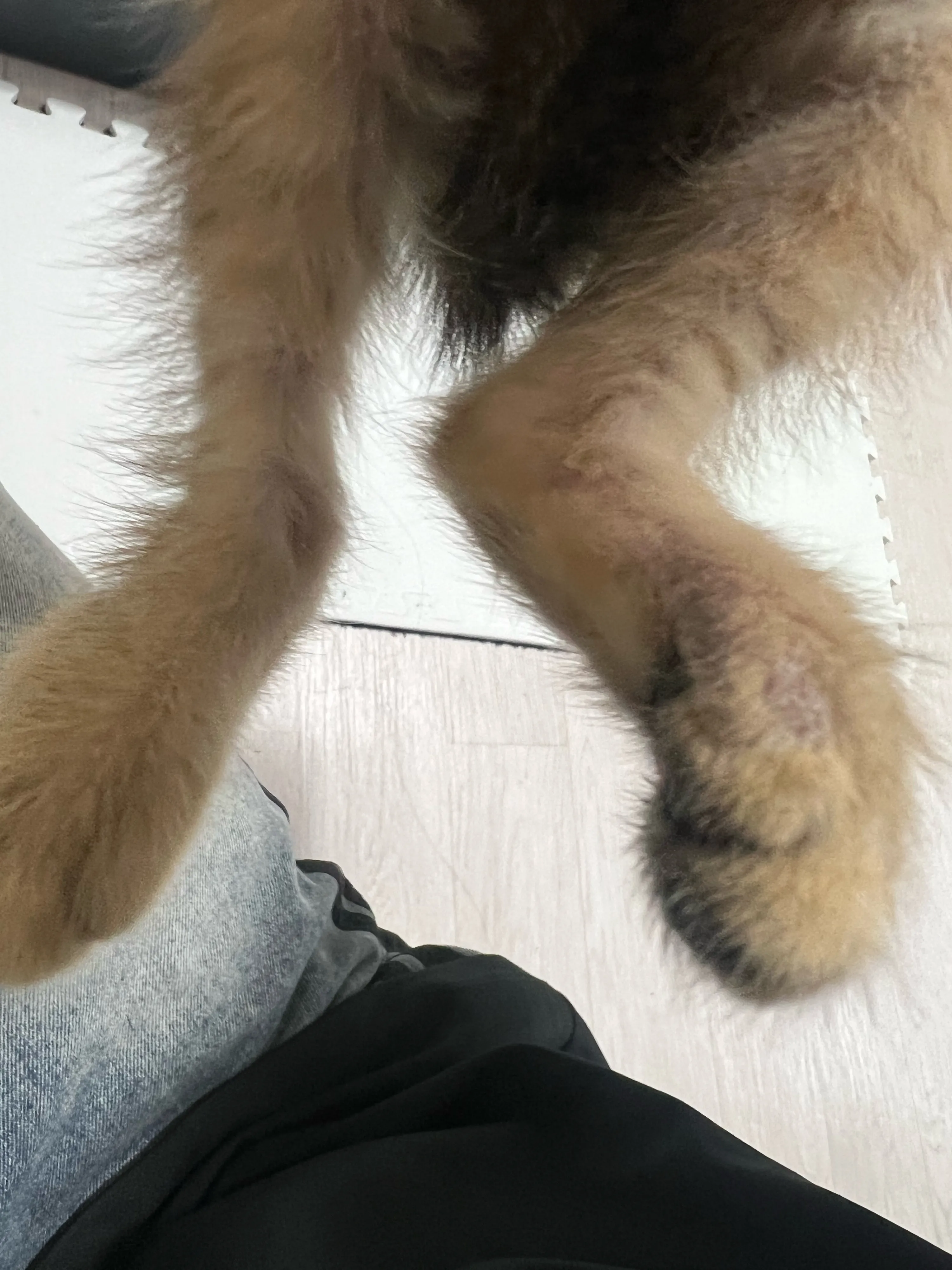2번째 파일