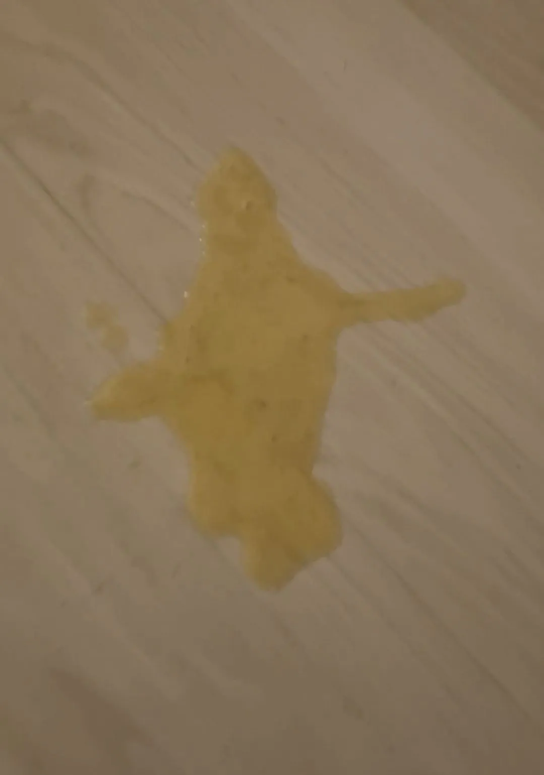 5번째 파일