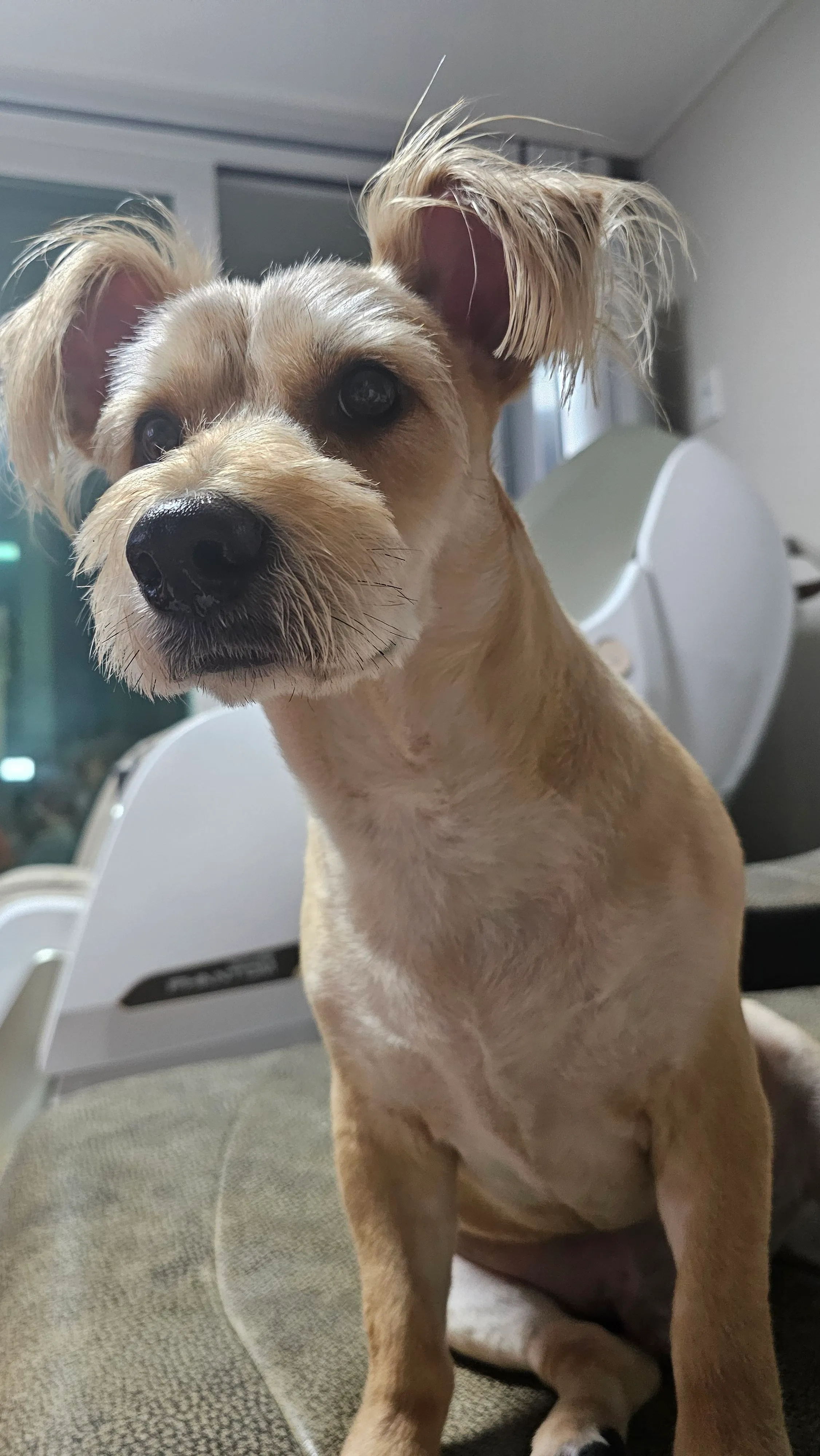 1번째 파일