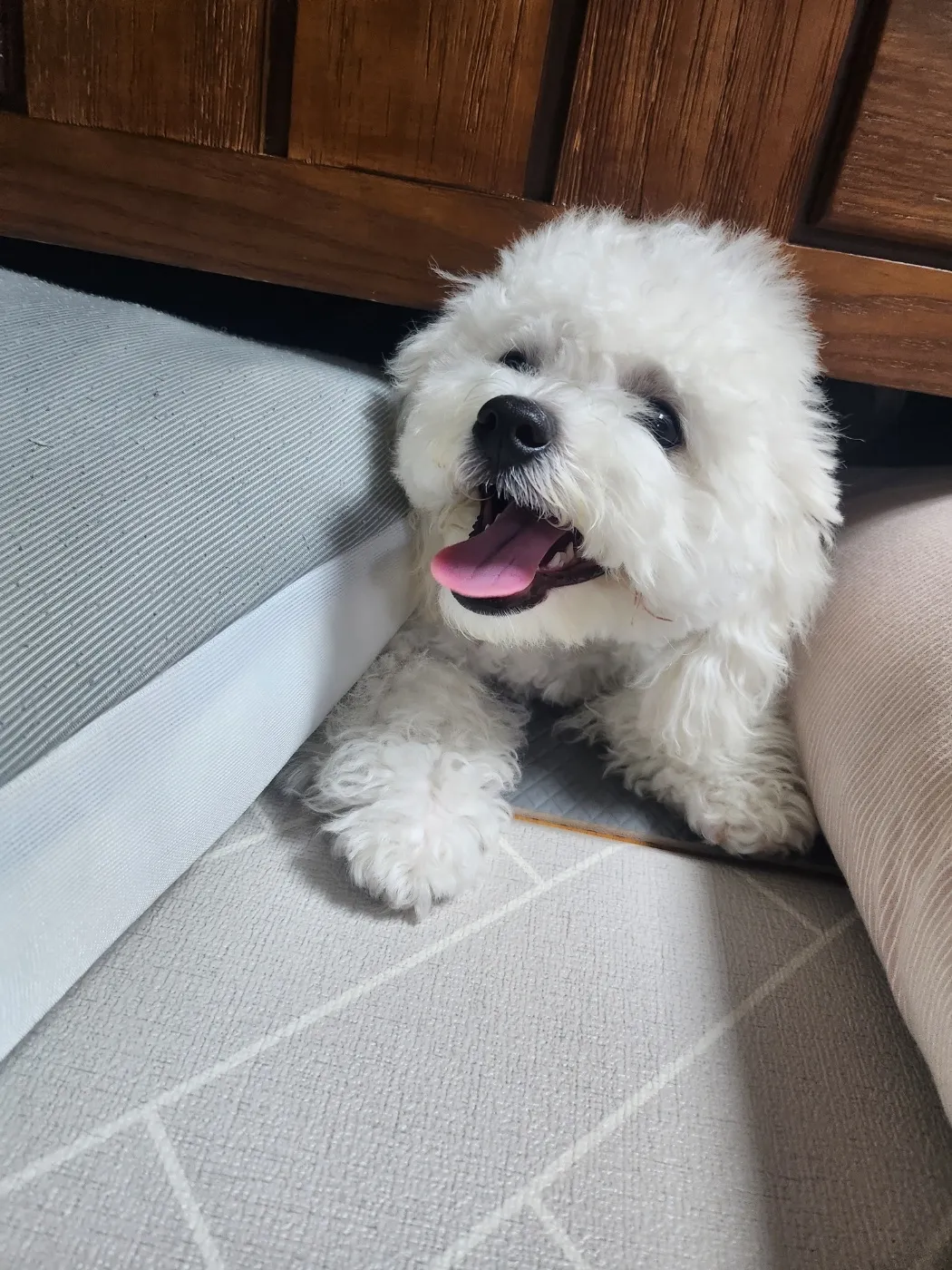 1번째 파일