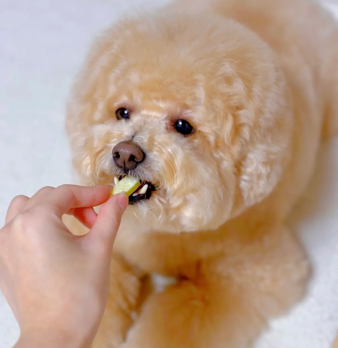 4번째 파일