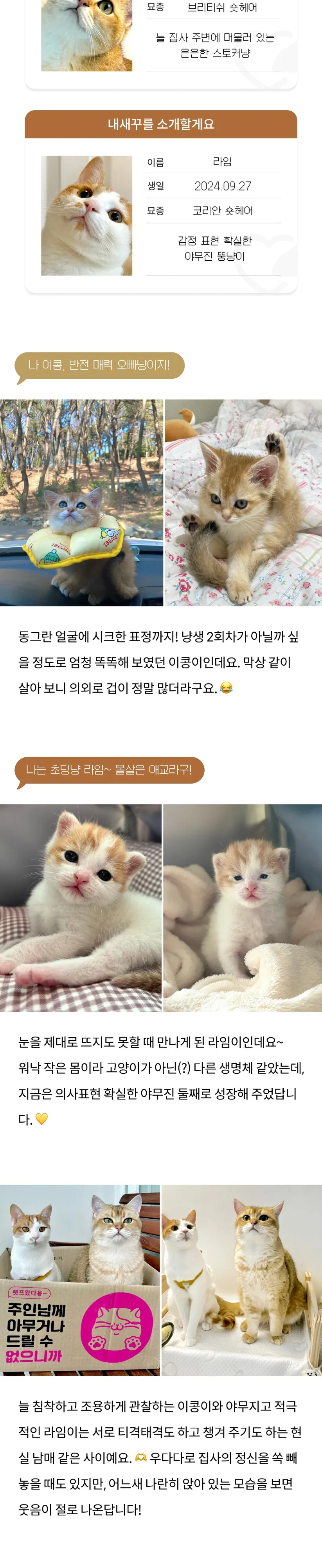 2번째 파일