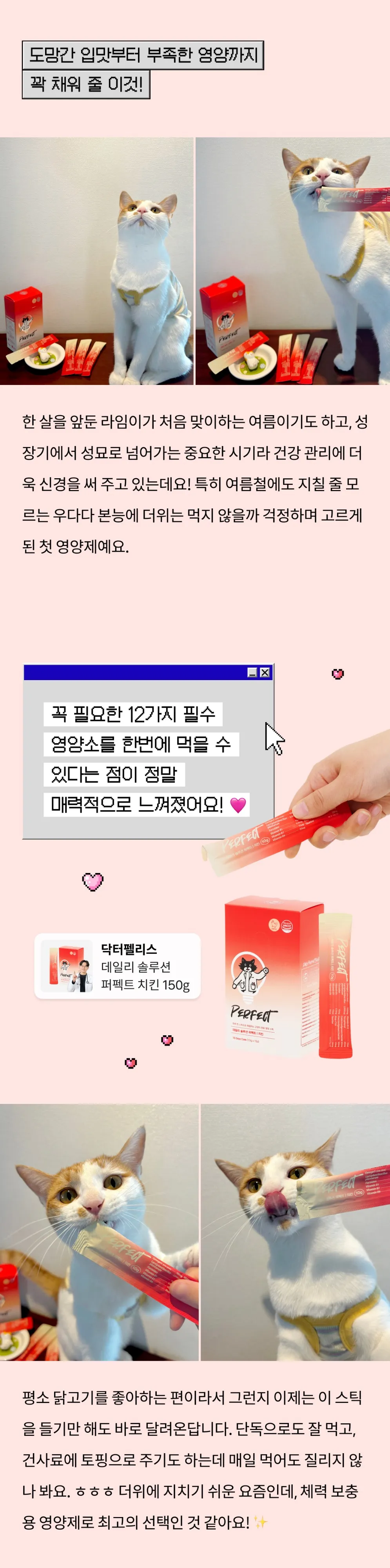 6번째 파일