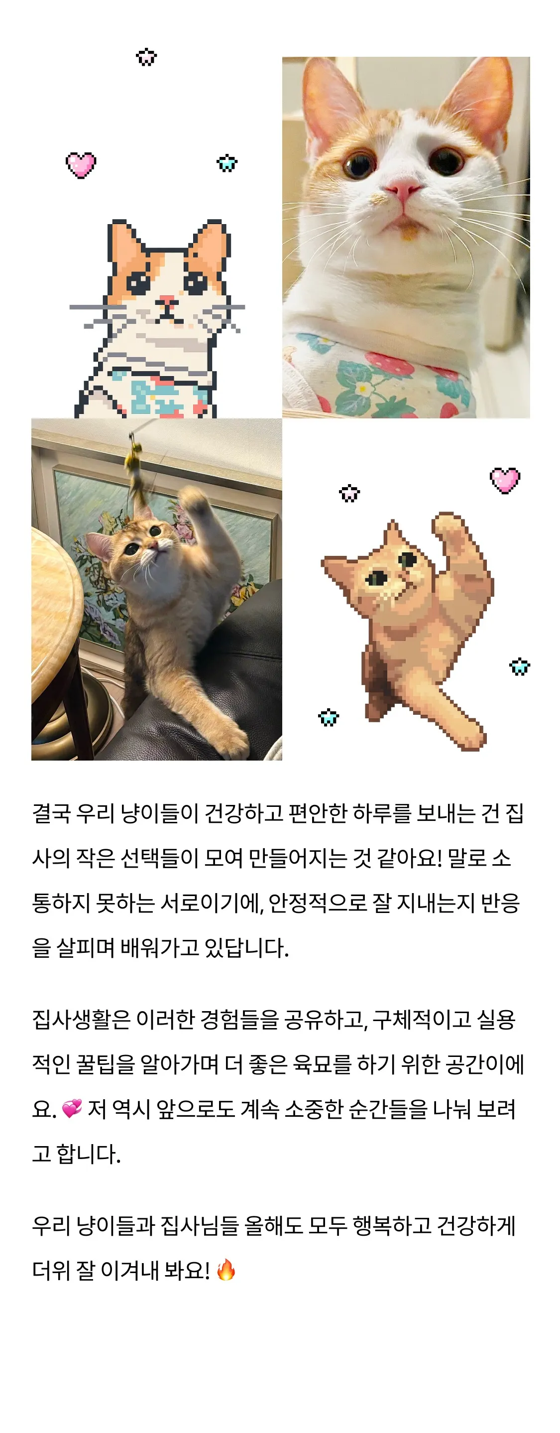 8번째 파일