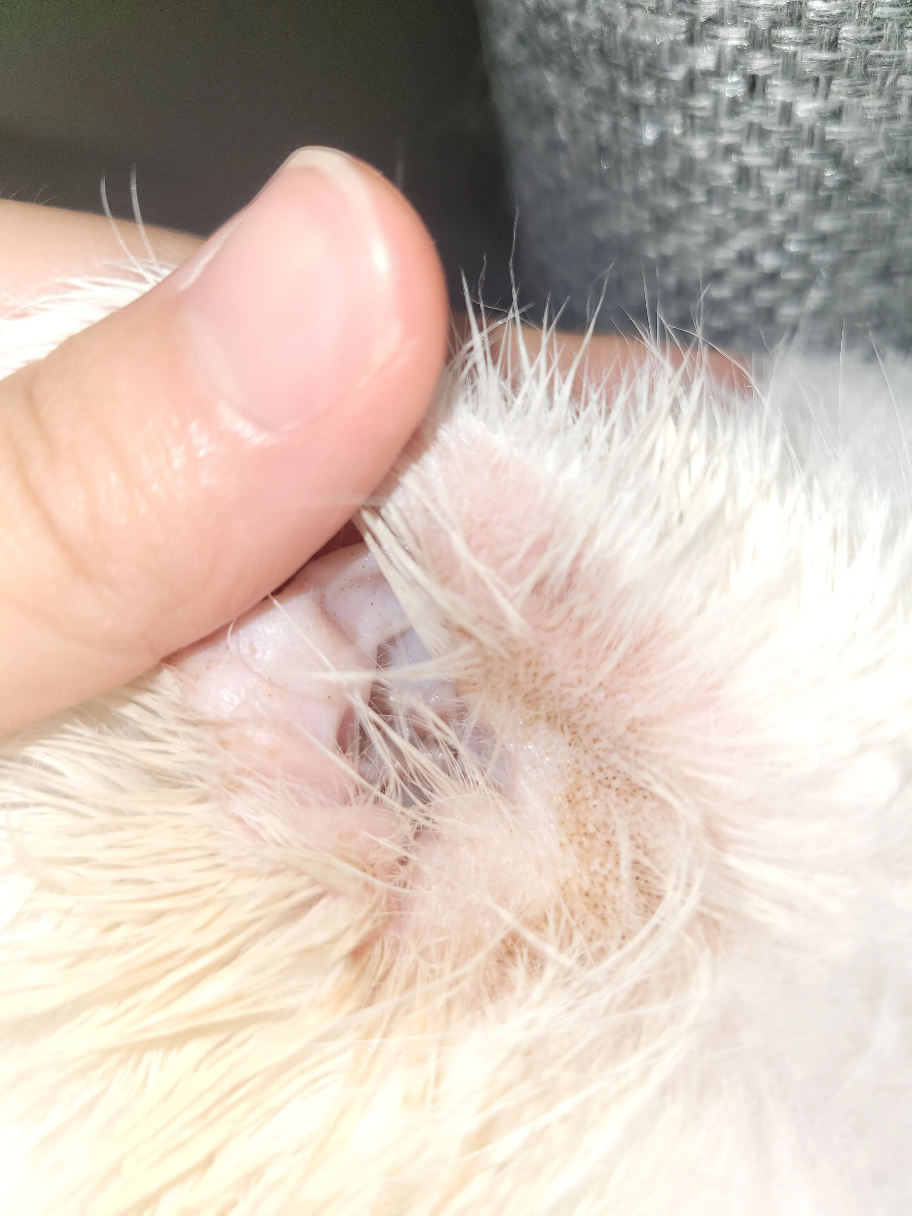 1번째 파일