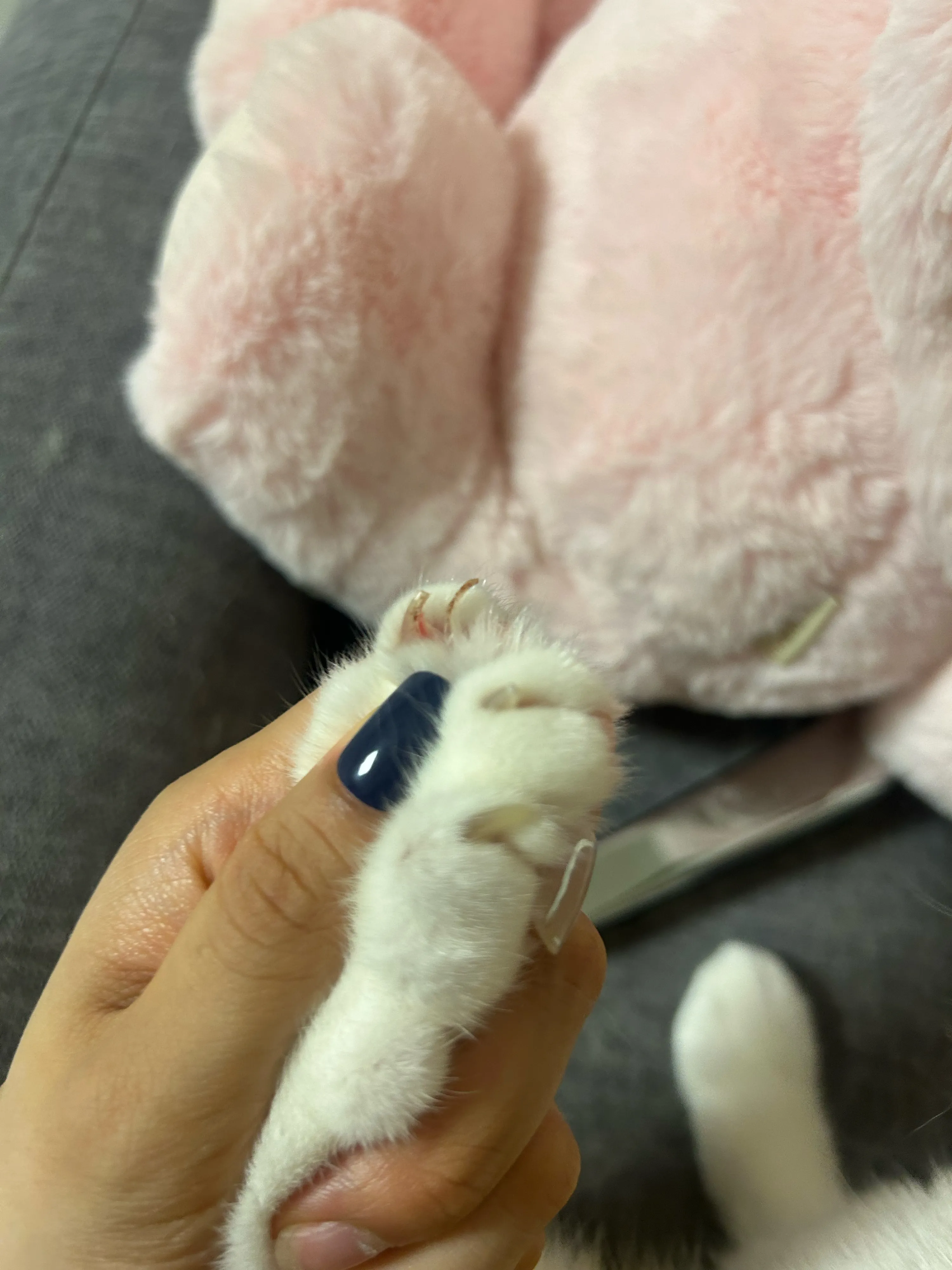 1번째 파일
