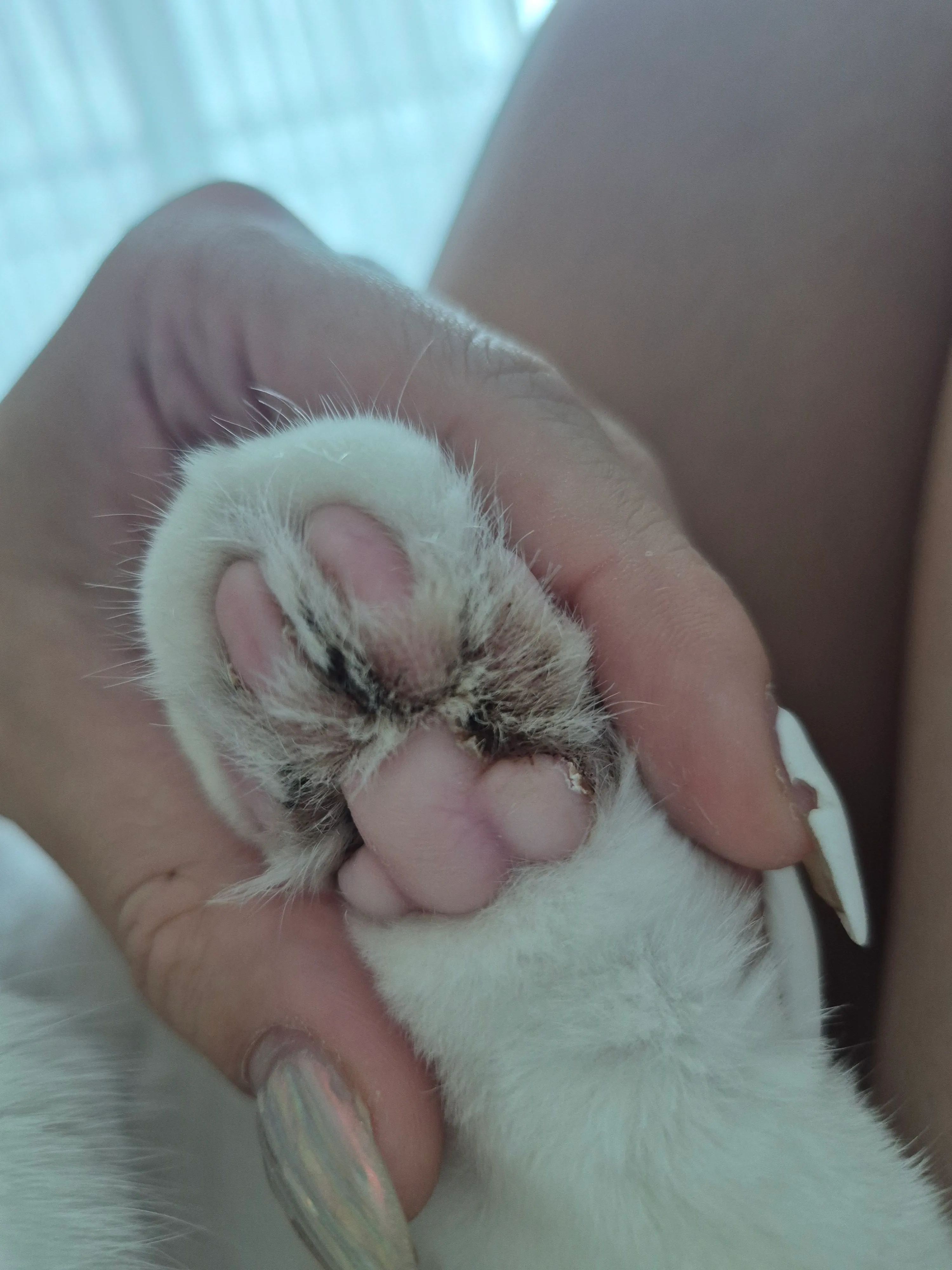 1번째 파일