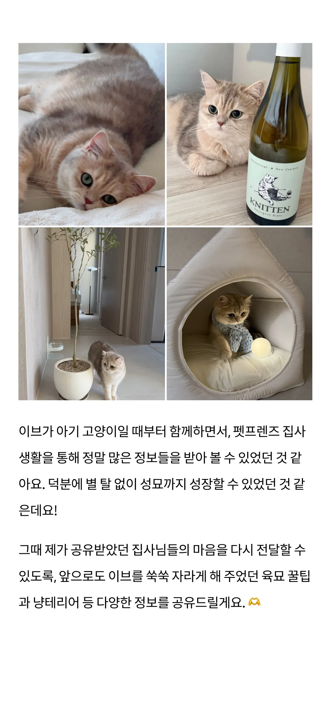 8번째 파일