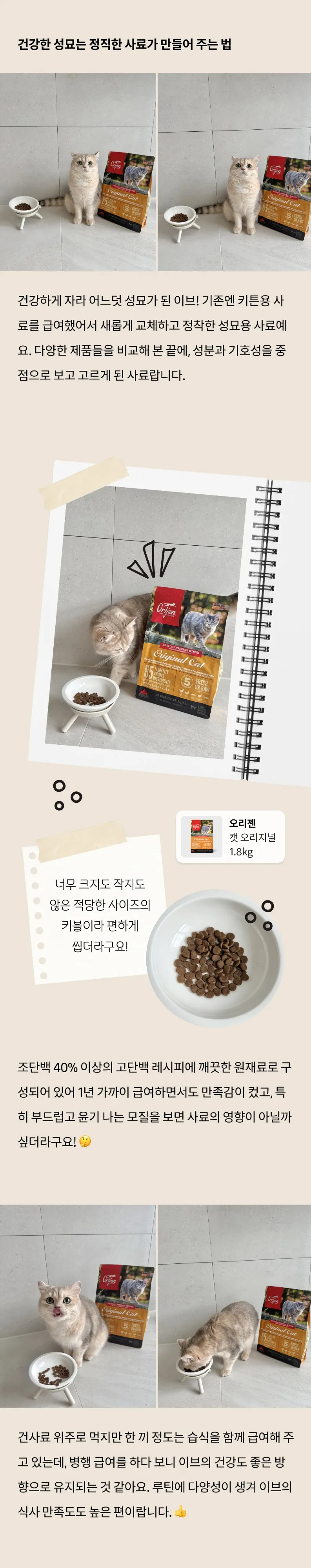 4번째 파일