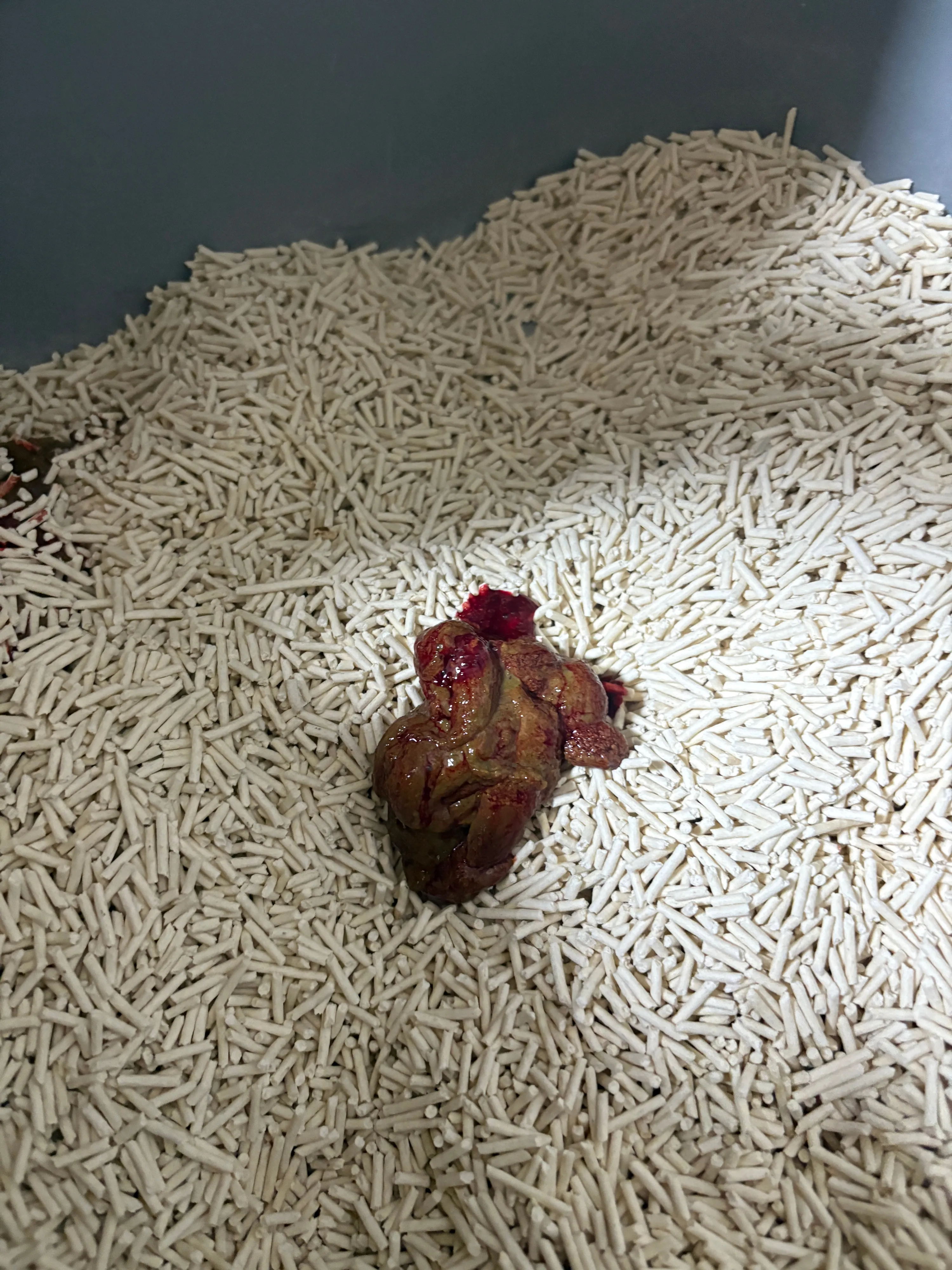 1번째 파일