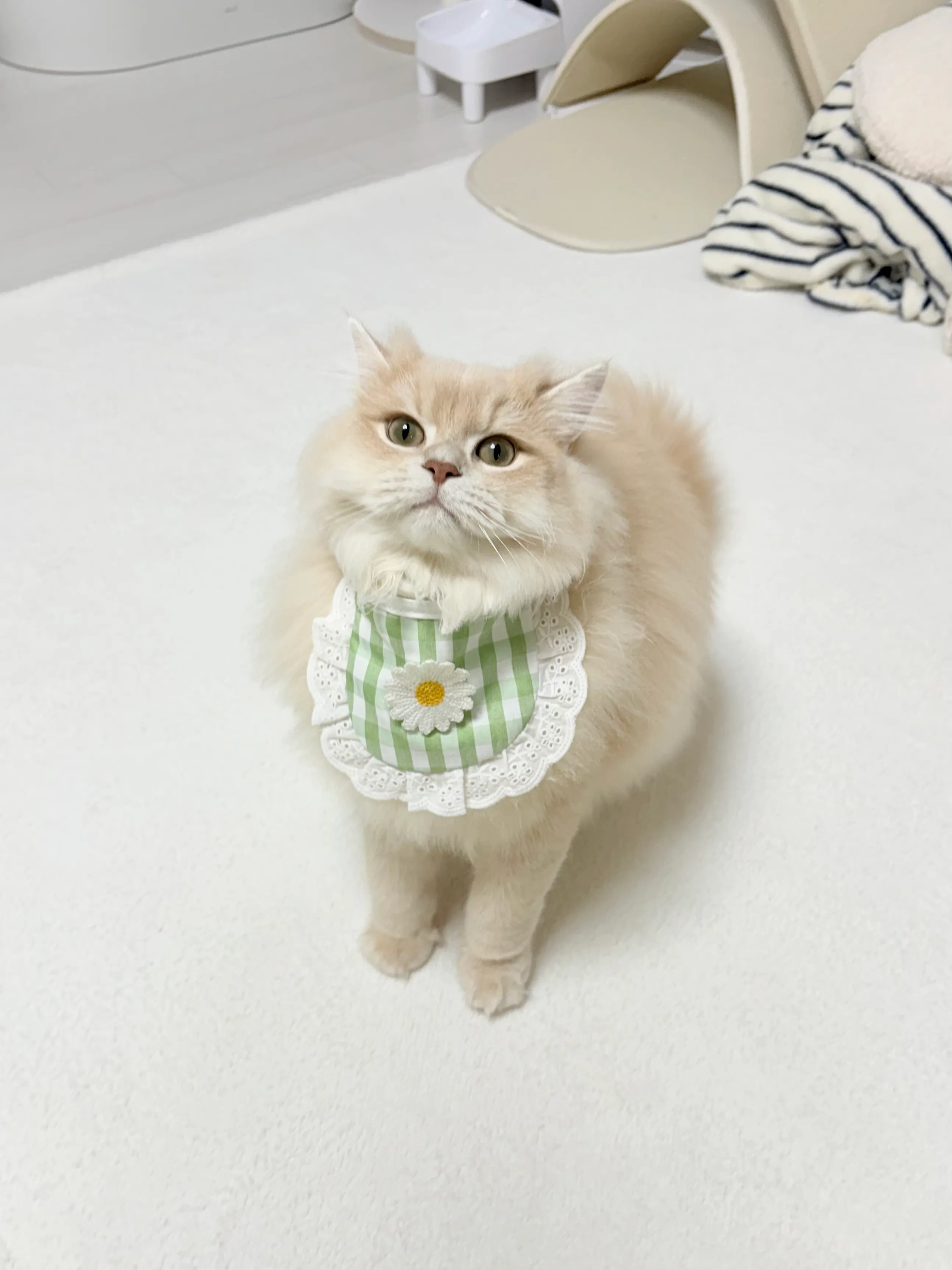 2번째 파일