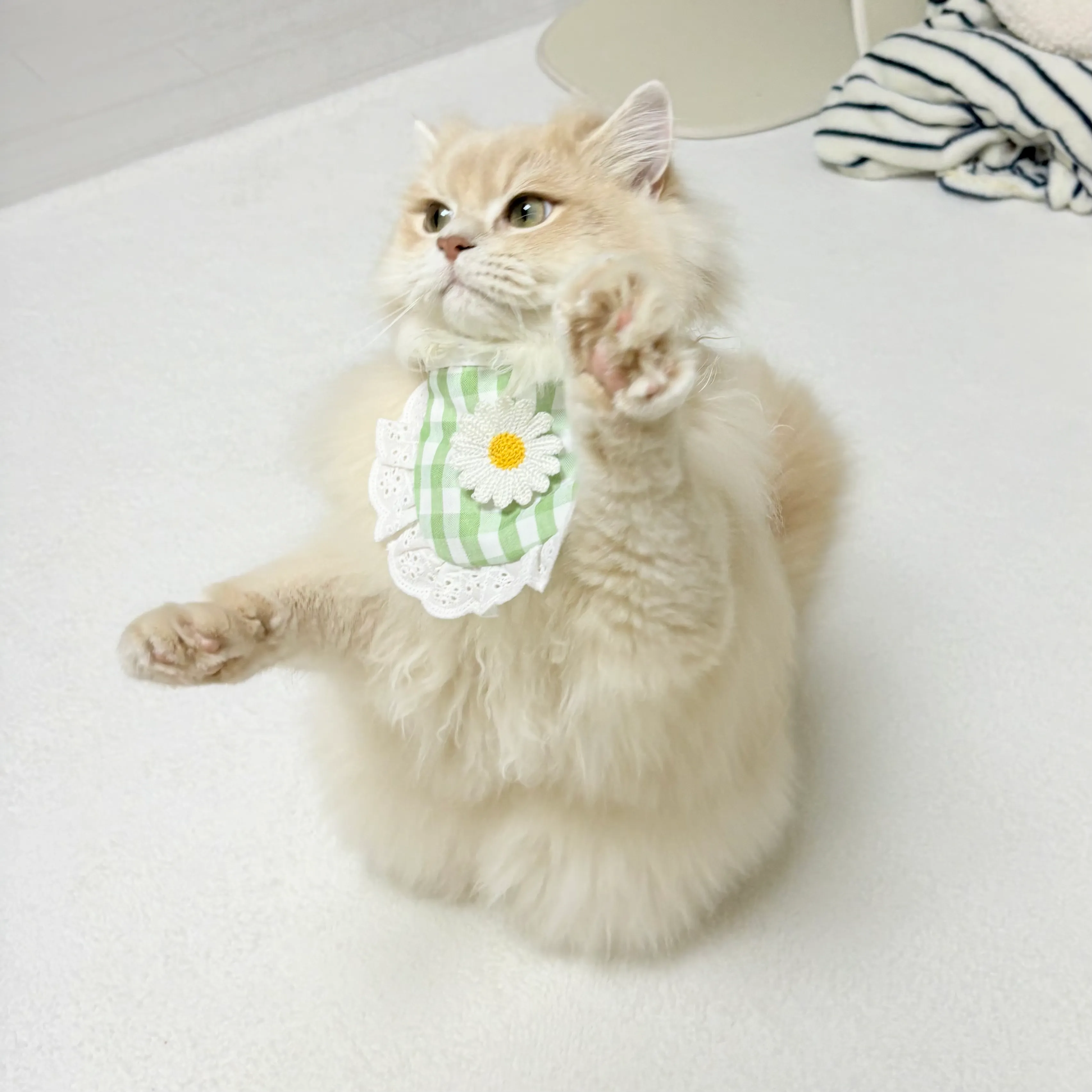 1번째 파일