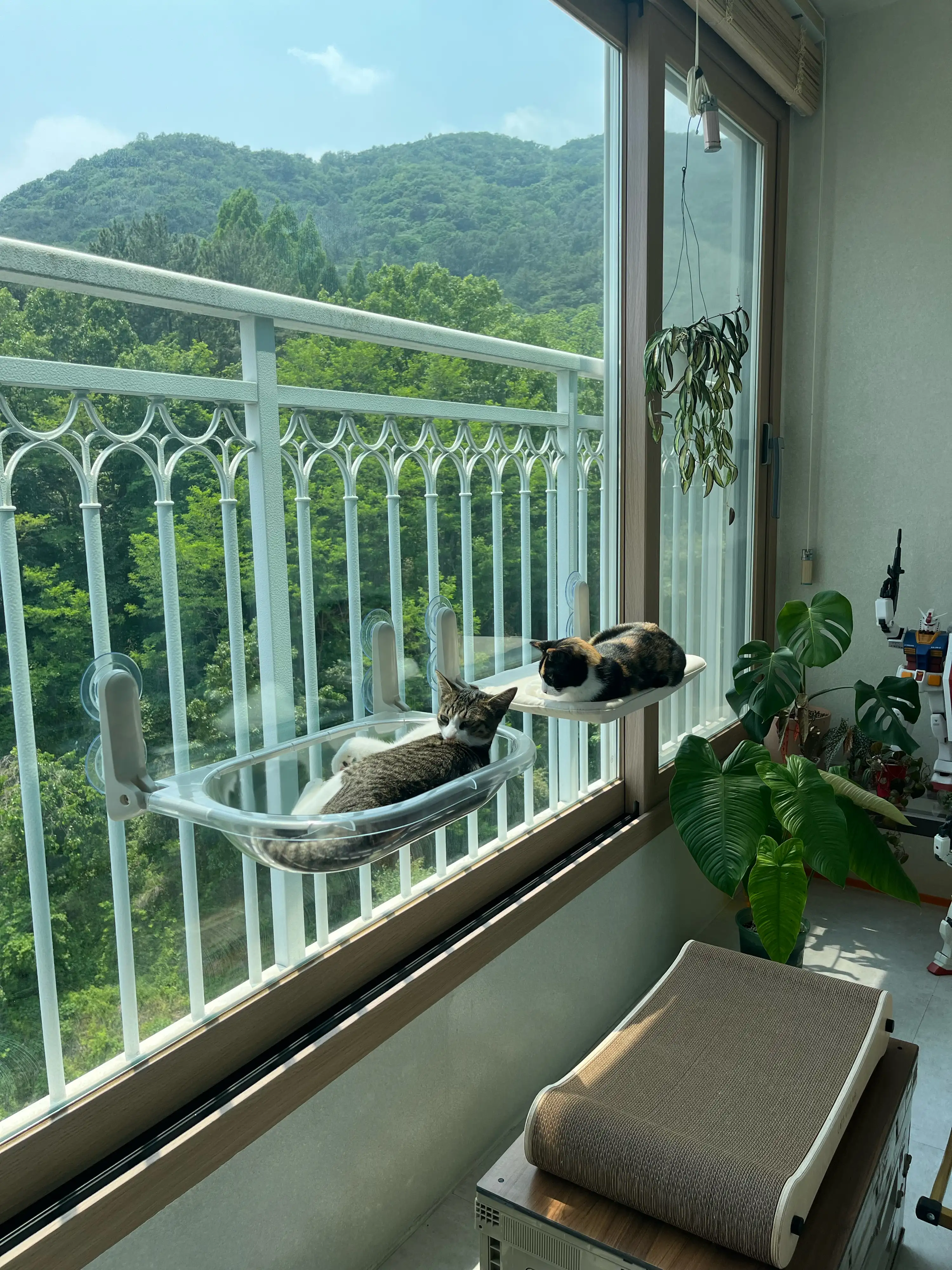 1번째 파일
