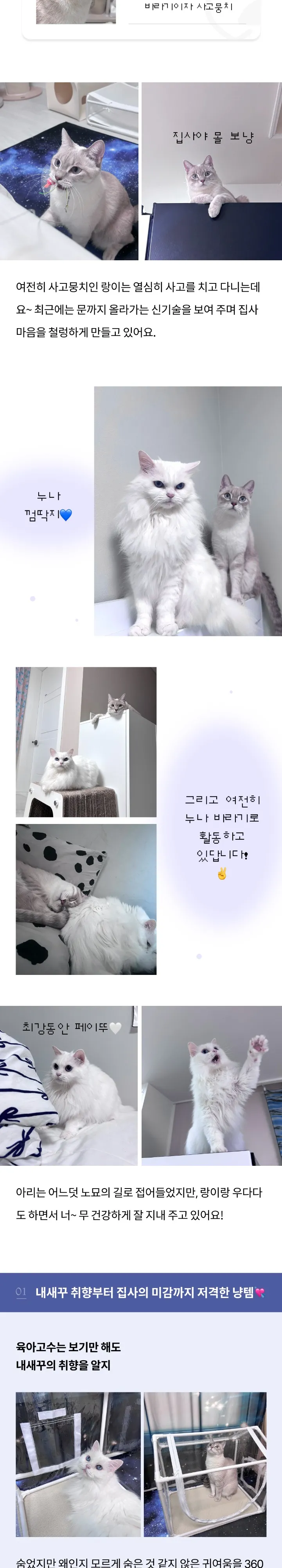 2번째 파일