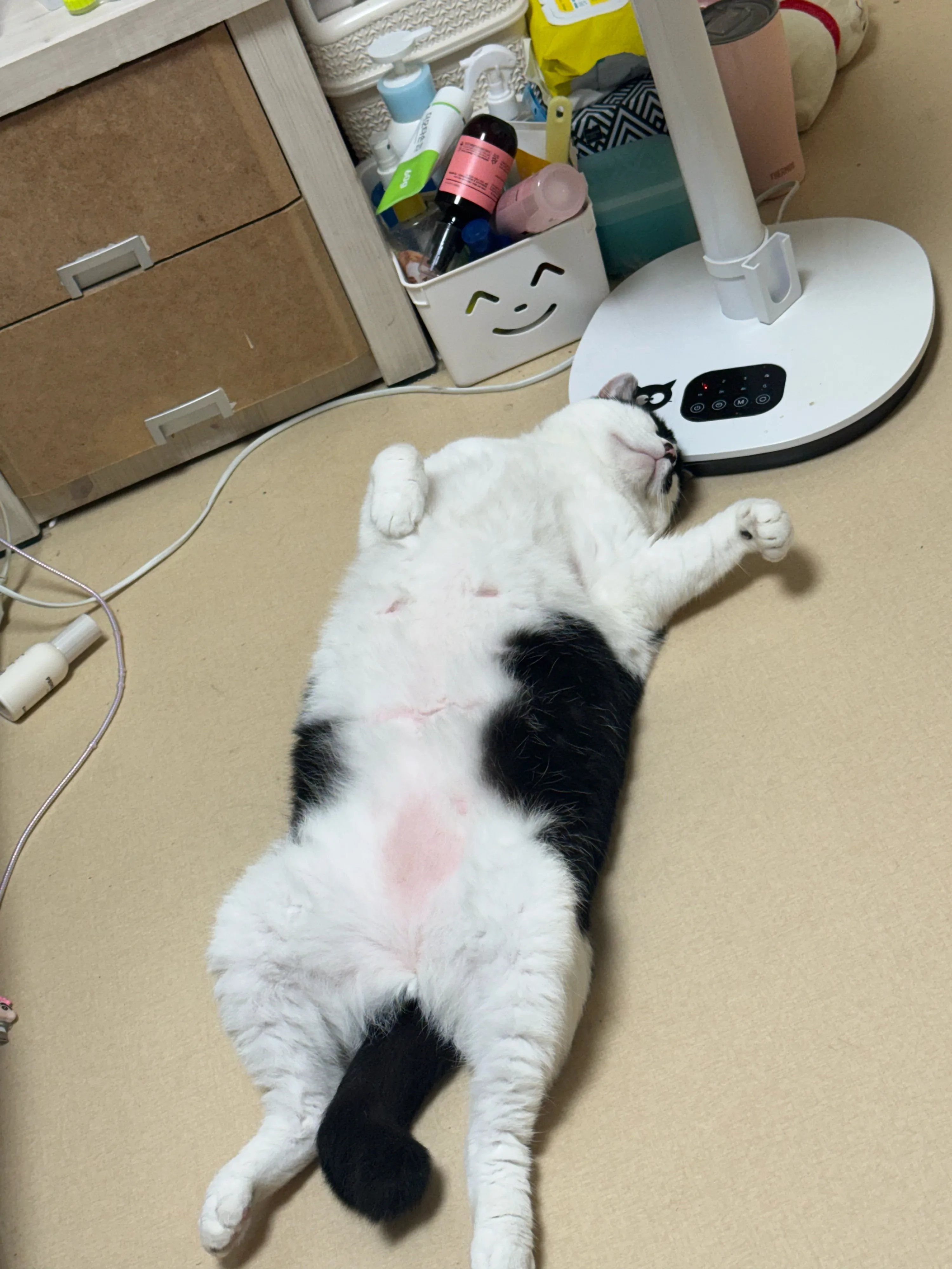 1번째 파일
