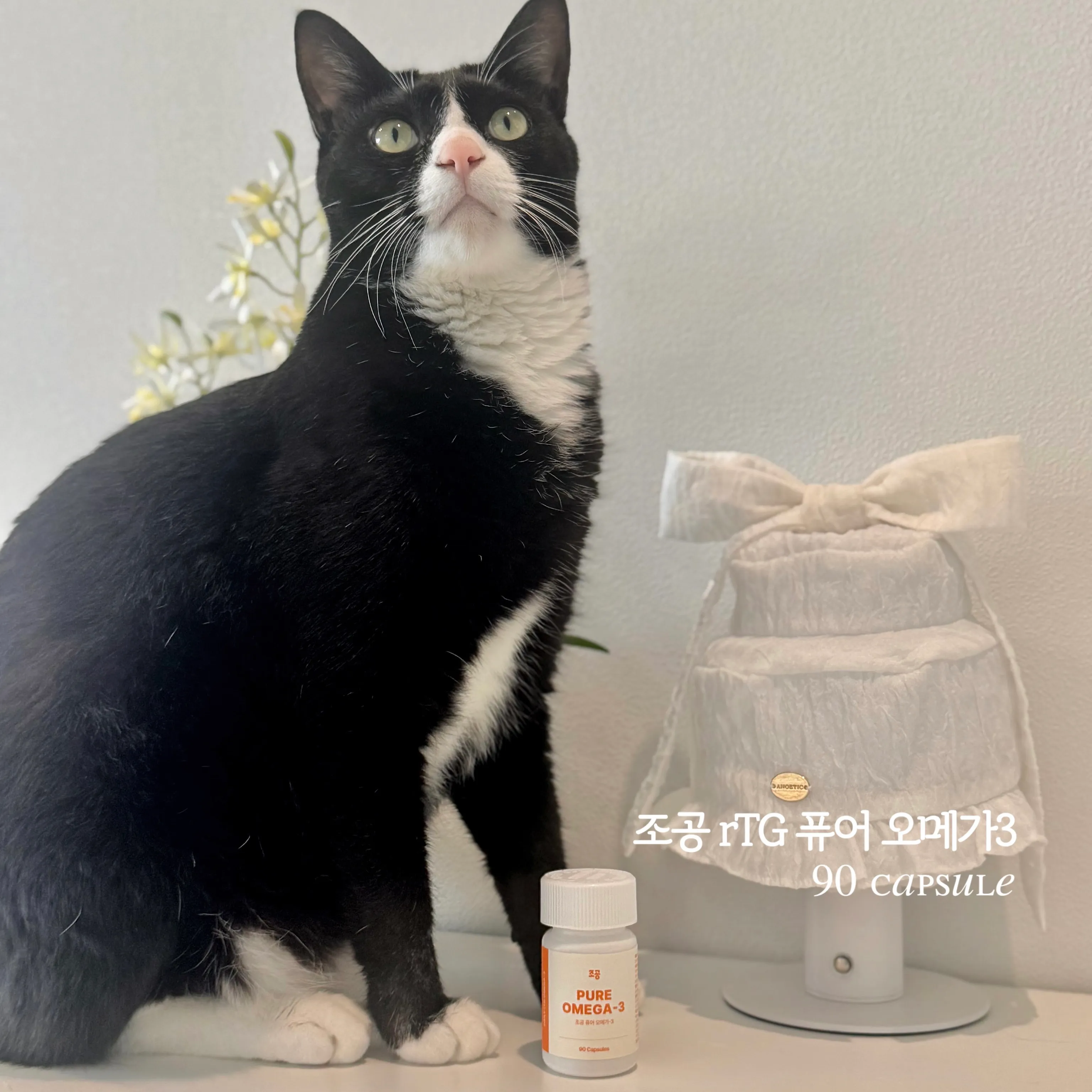 1번째 파일