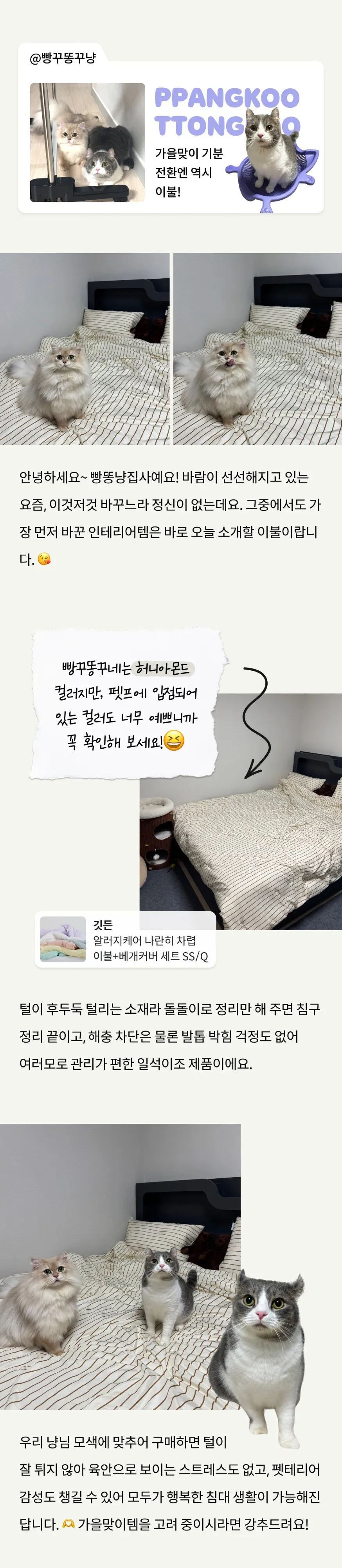 7번째 파일