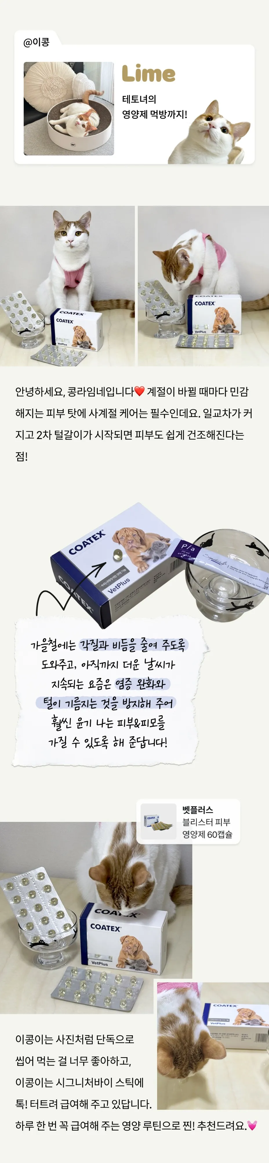 3번째 파일