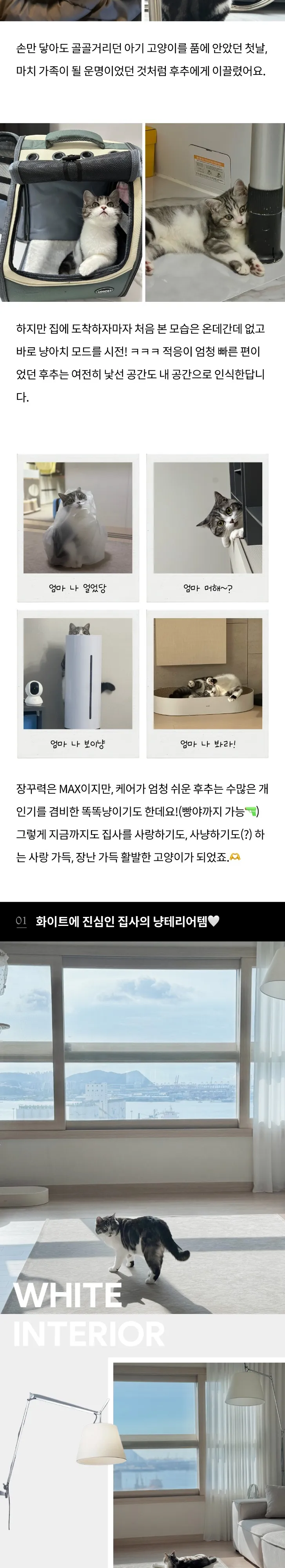 2번째 파일