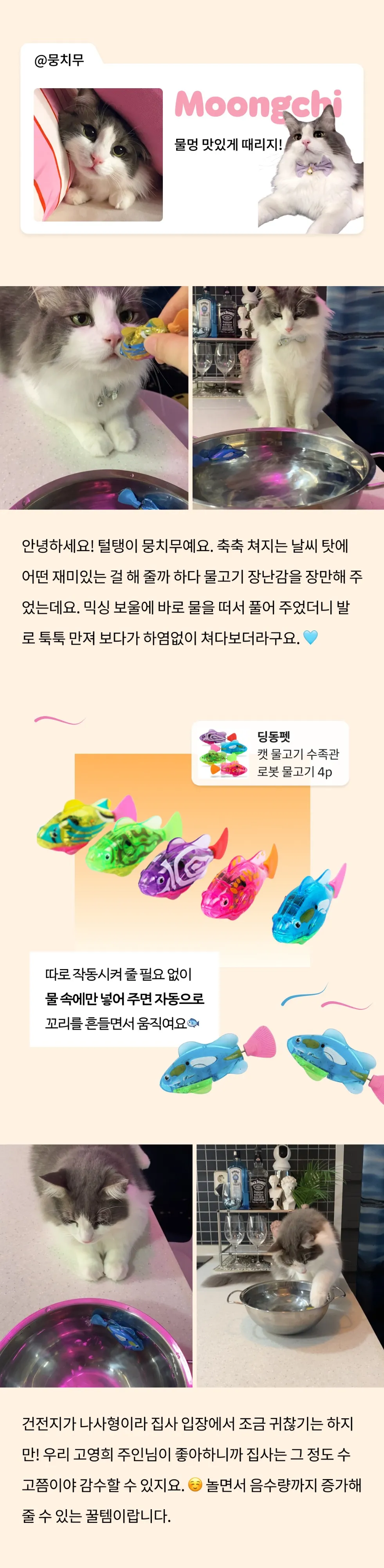 5번째 파일