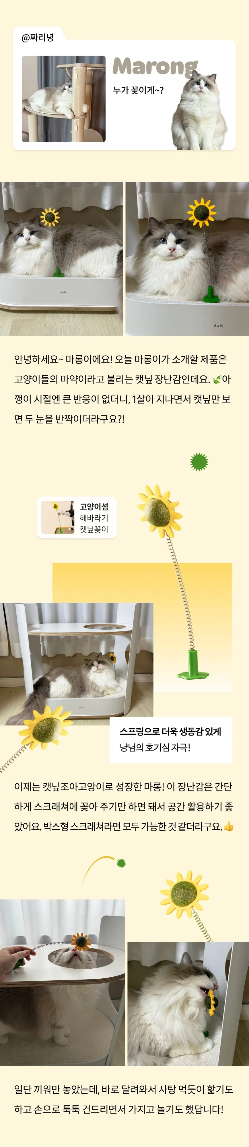3번째 파일